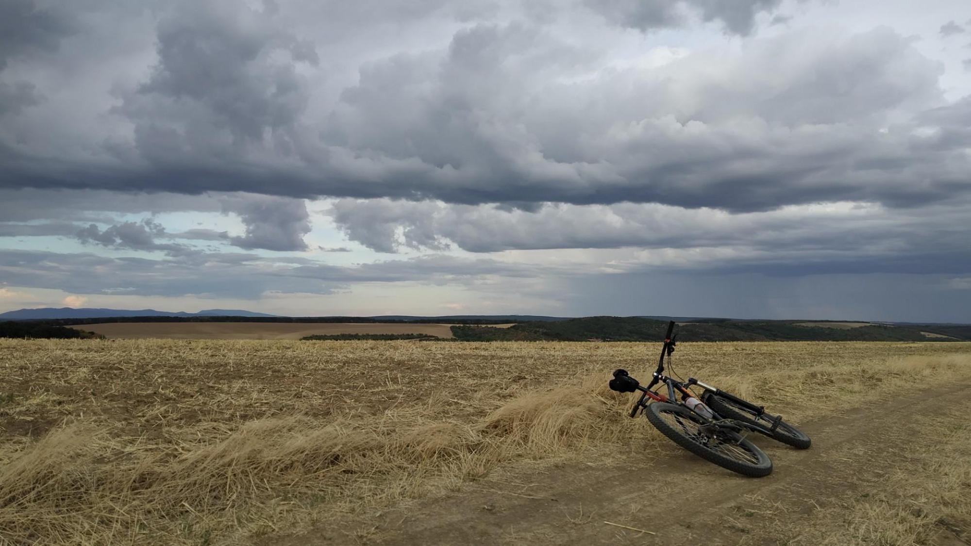 62f5381dfb4ff768f1d67b46.jpg?width=2000&