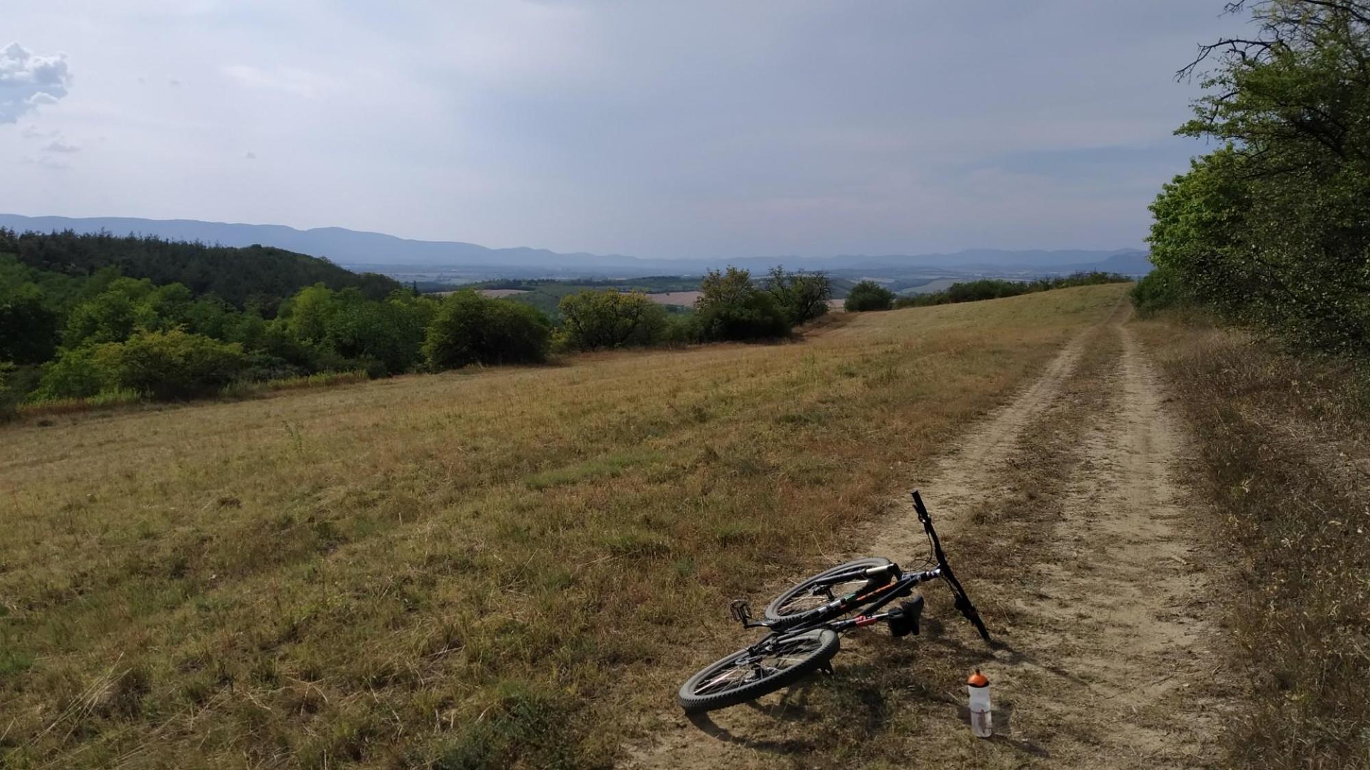 62f7cf101cdcaa146d94e5ca.jpg?width=2000&