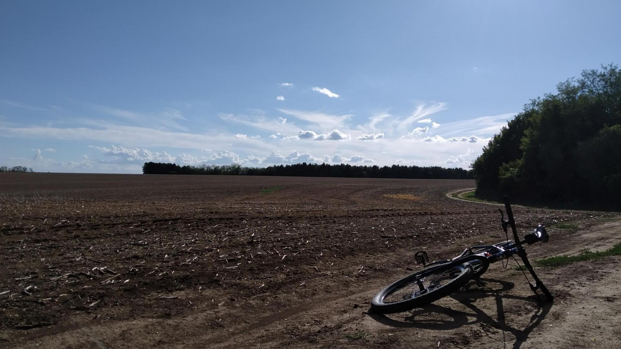 631cac8a36831777e444889c.jpg?width=2000&