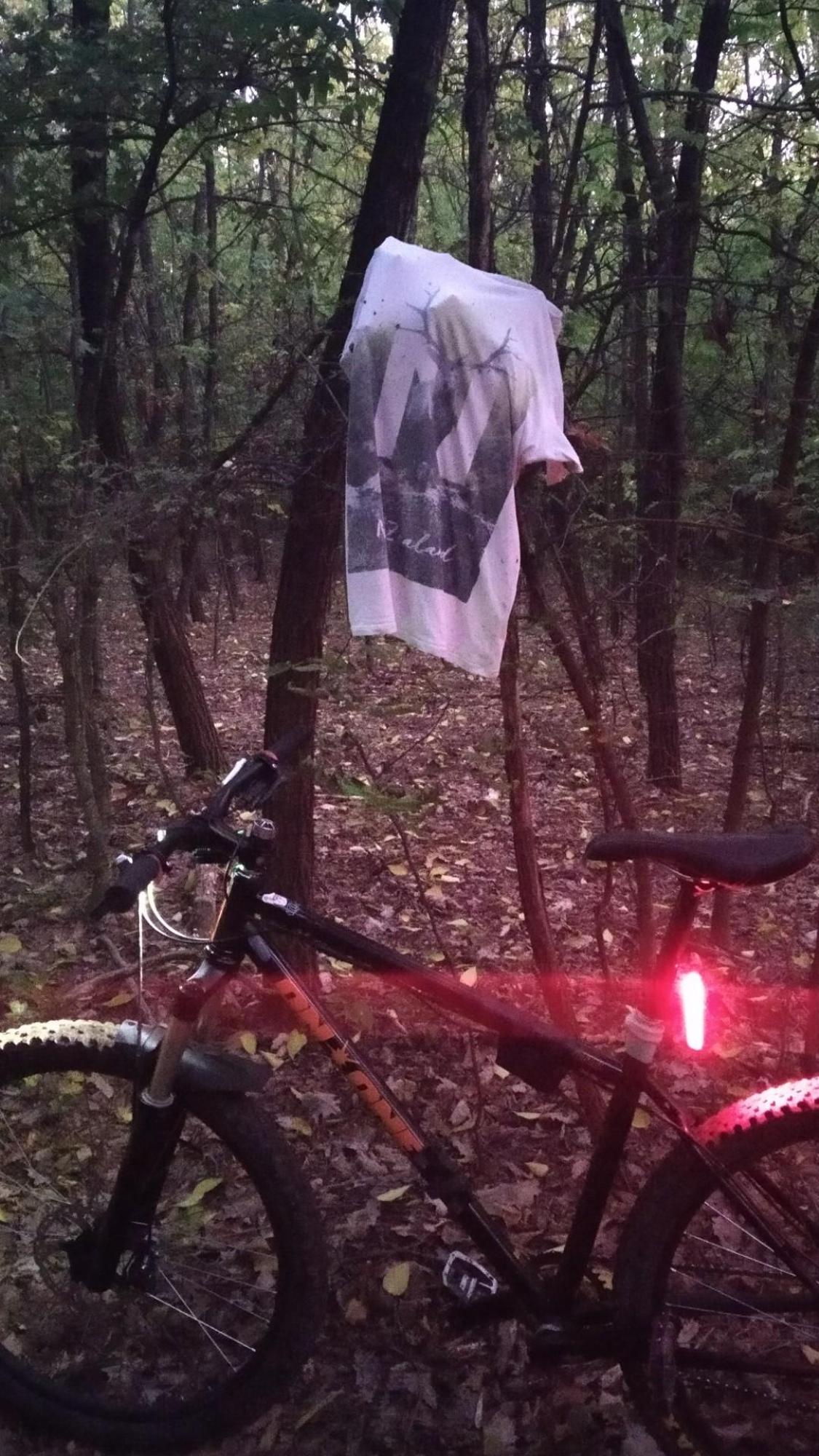 6340578f5b82967accdb5d17.jpg?width=2000&