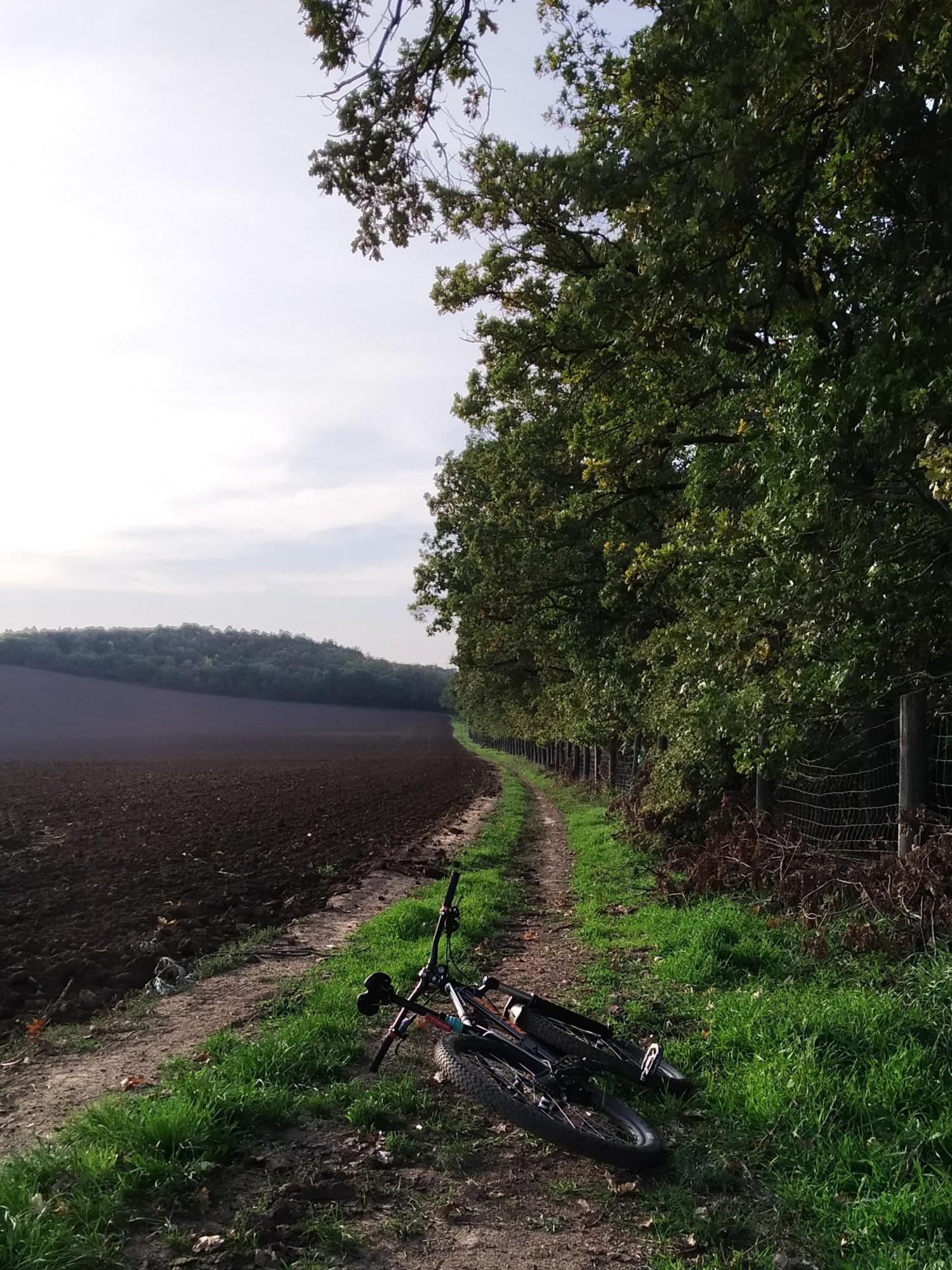 63405790ff308d050286a98e.jpg?width=2000&