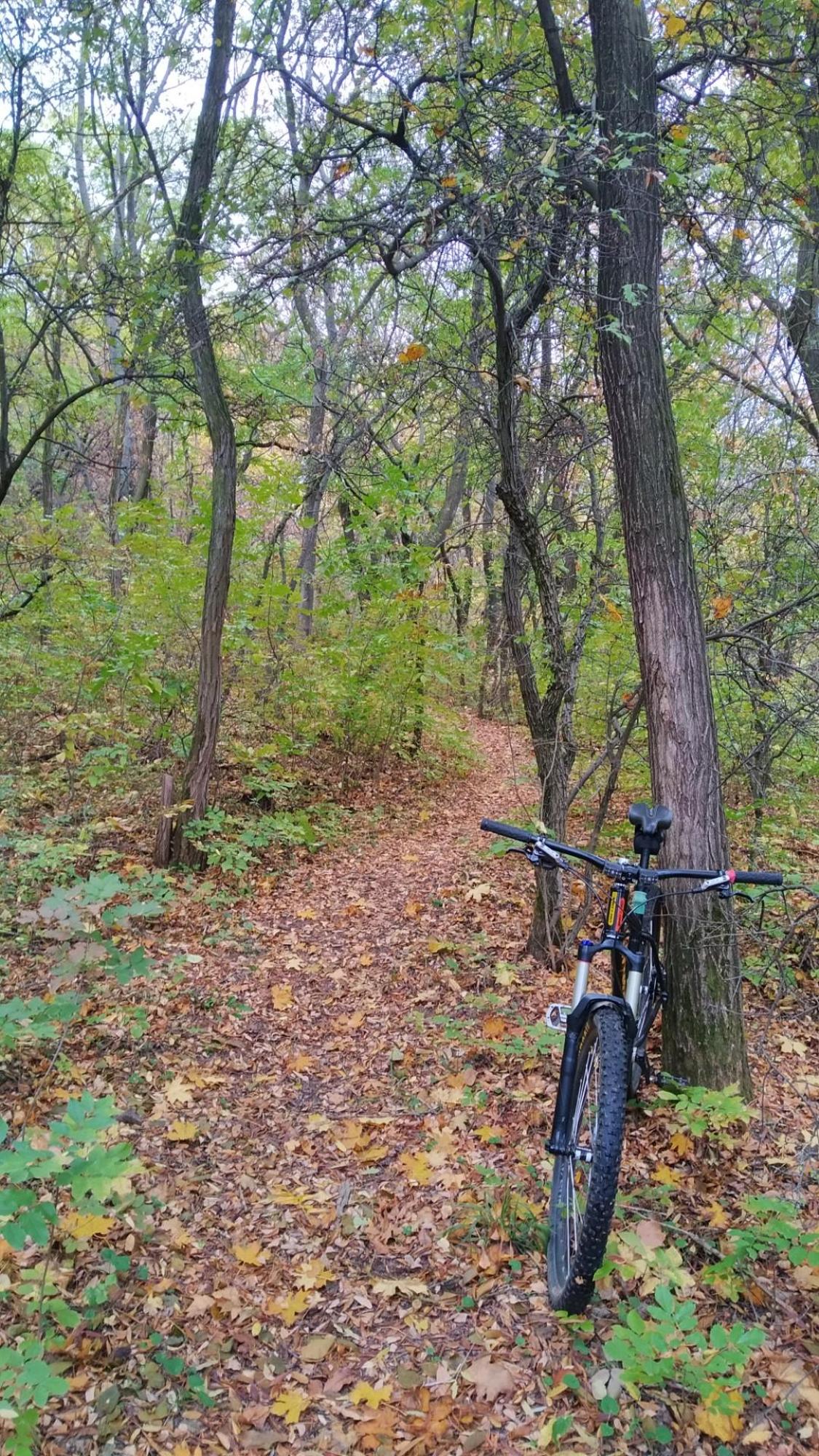 635561153aa45b682d5bf1ab.jpg?width=2000&