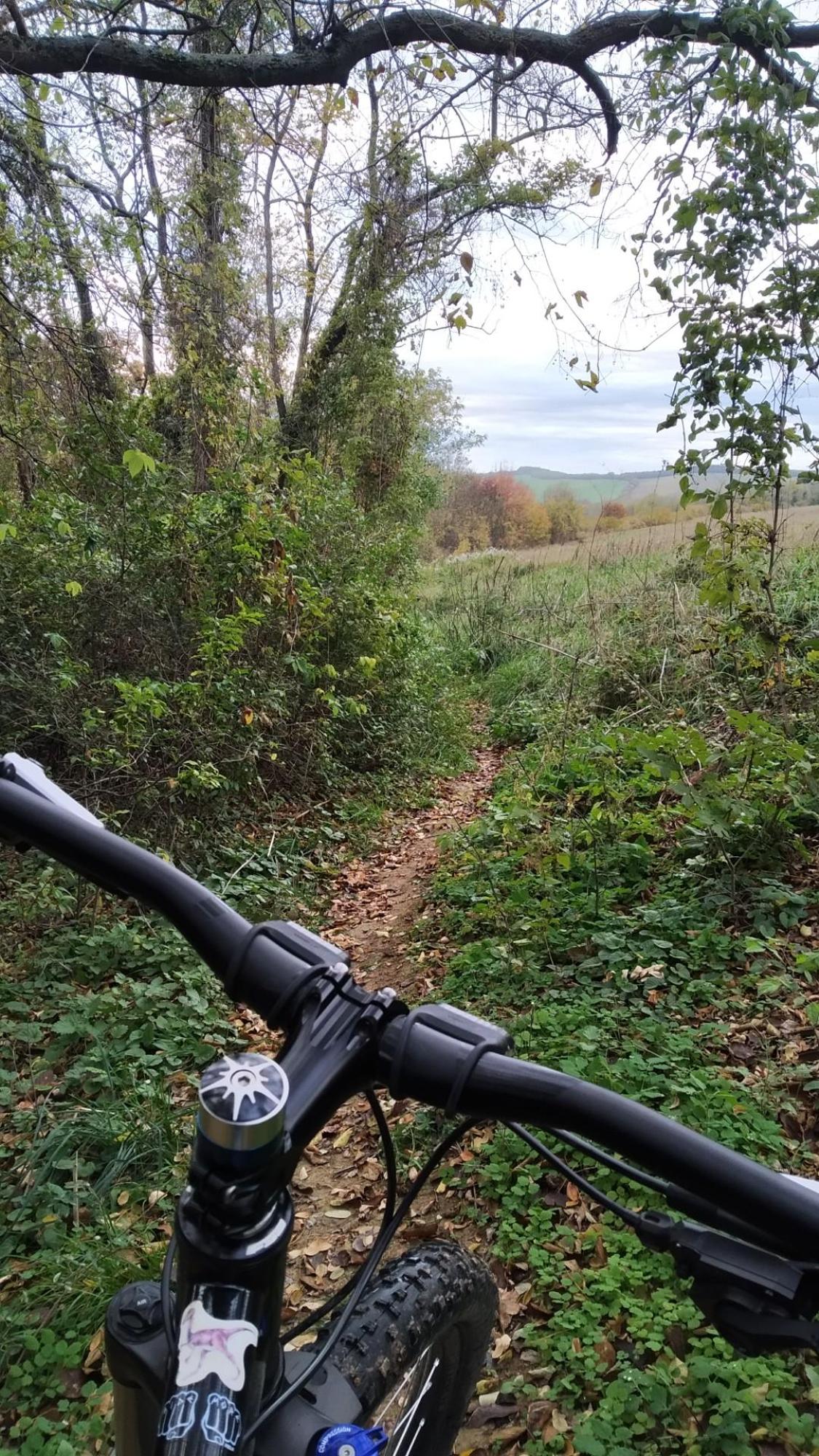 635561176185d01392fc6145.jpg?width=2000&