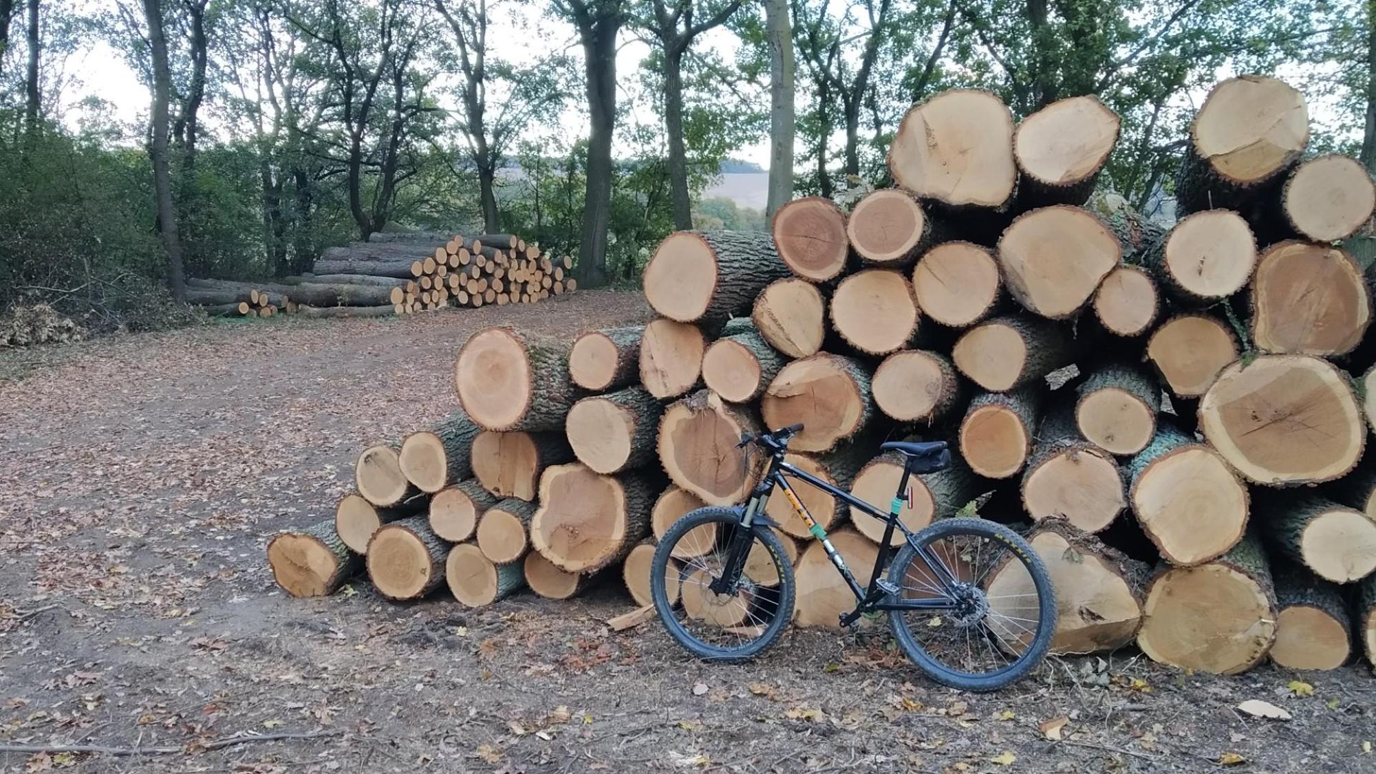 6355611eb24a2621cebf0c5b.jpg?width=2000&