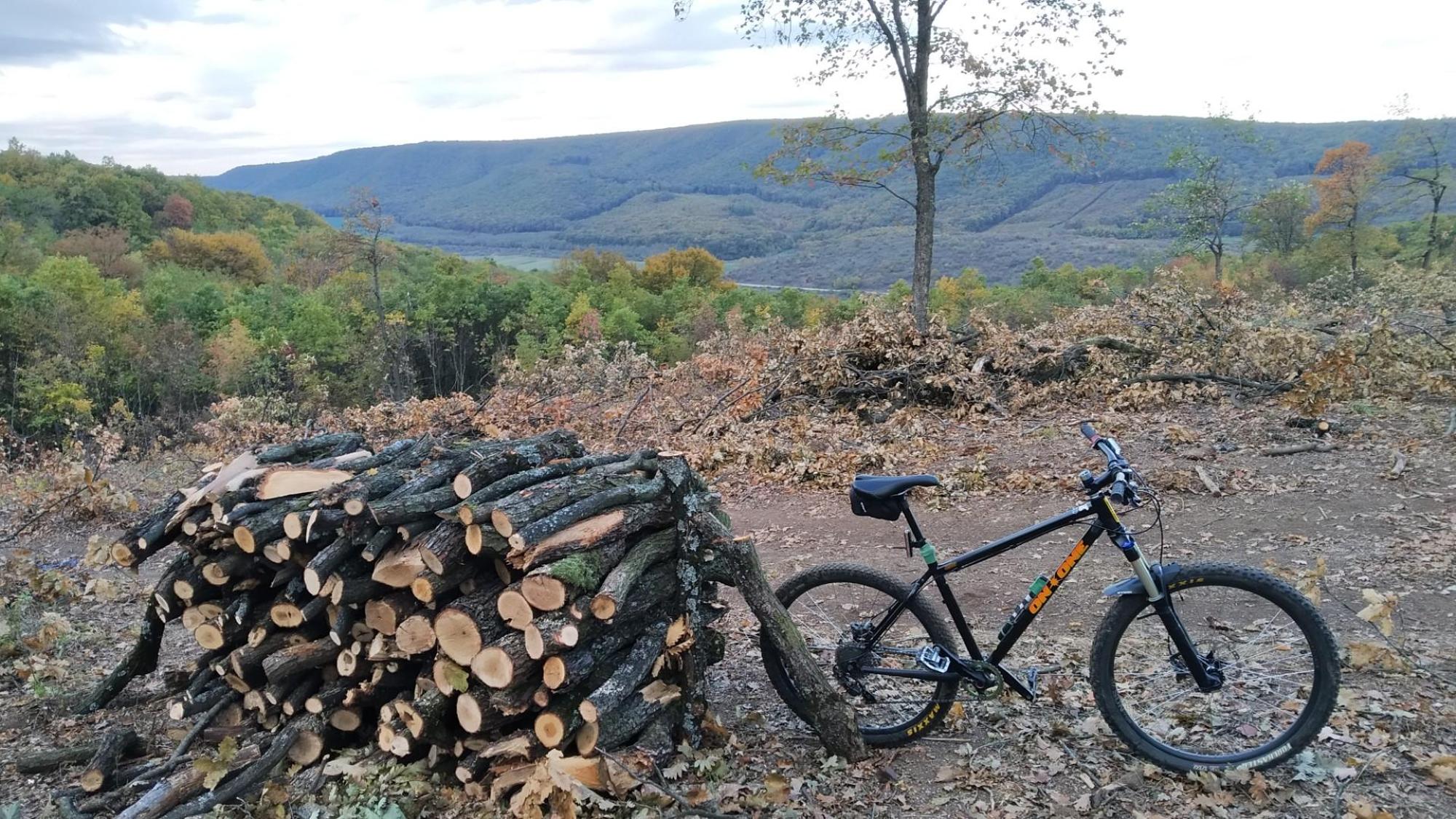 635561243aa45b682d5bf2f0.jpg?width=2000&