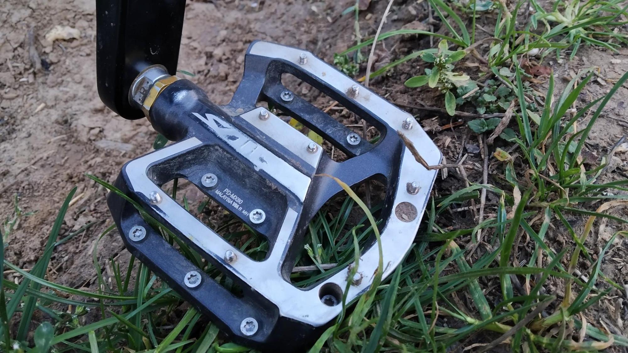 635561278bc793351e0a3375.jpg?width=2000&