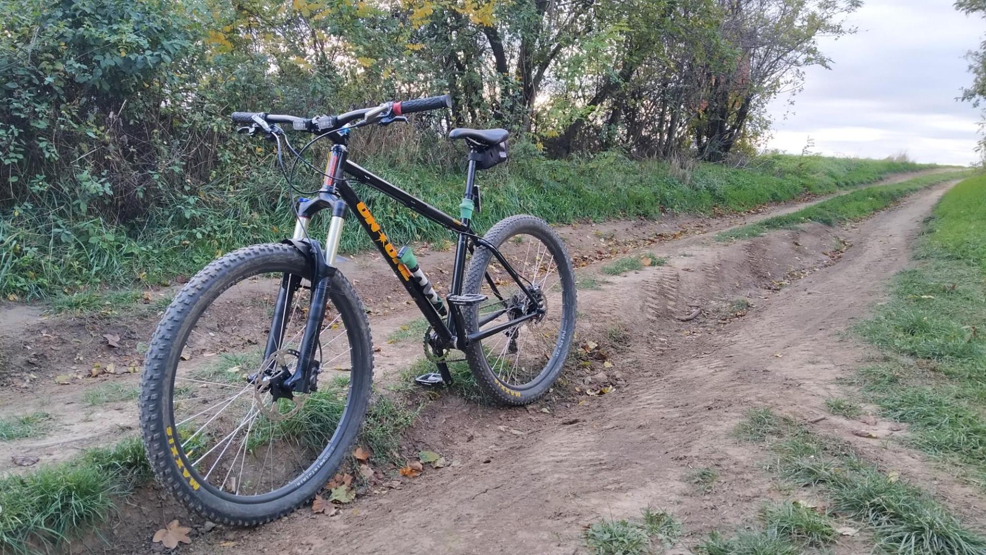 63556129d111da42f42a1b33.jpg?width=2000&