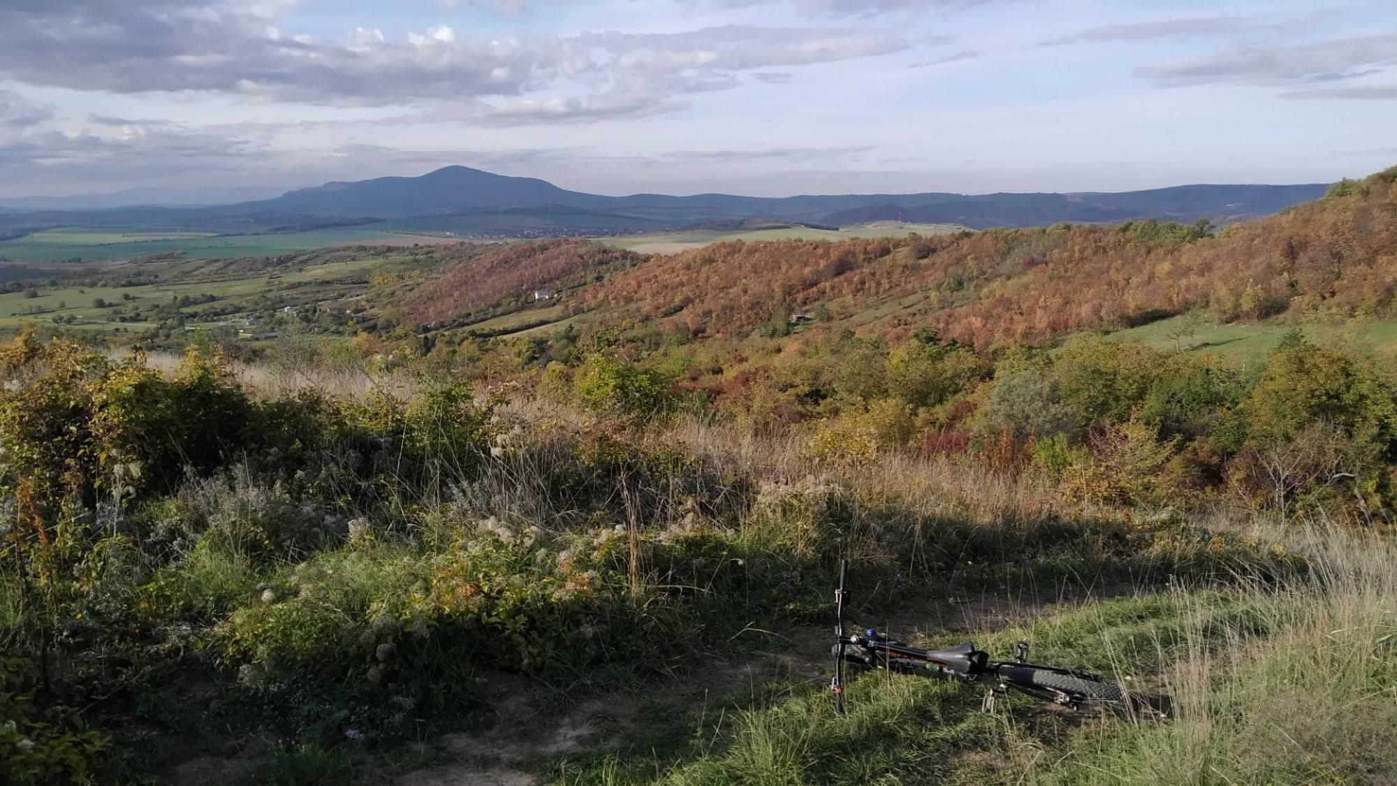 63556133d1e41414d5f9db15.jpg?width=2000&