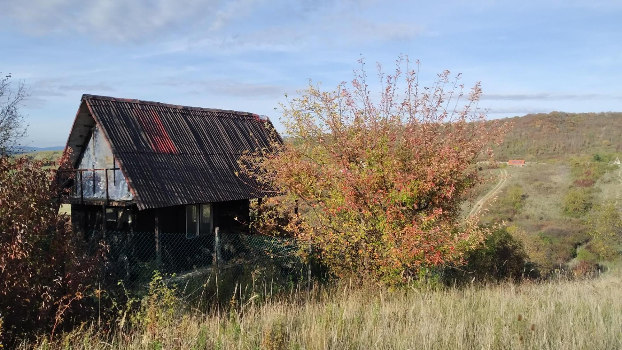 635561388bc793351e0a3414.jpg?width=2000&