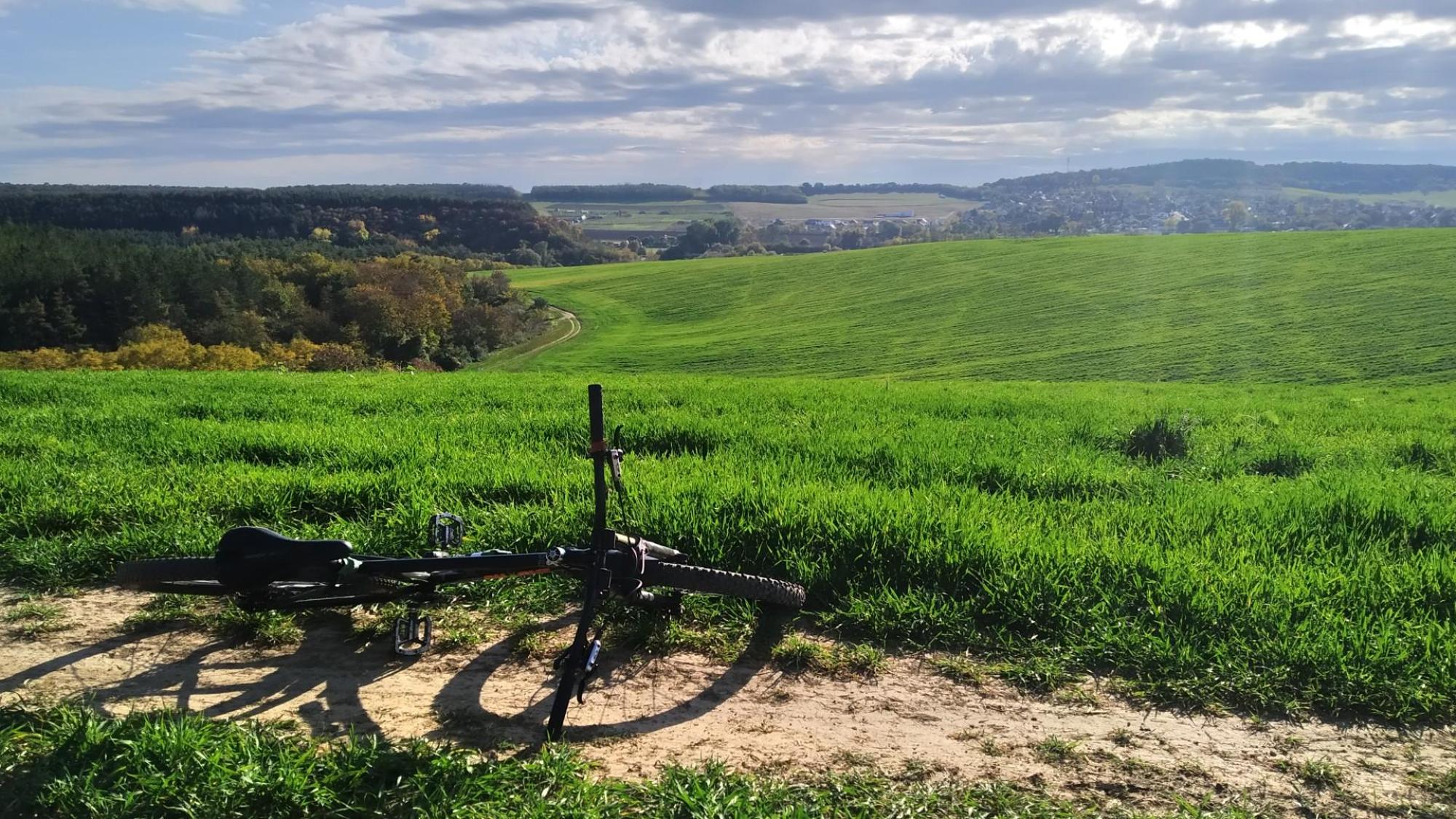 6355613b8bc793351e0a3518.jpg?width=2000&