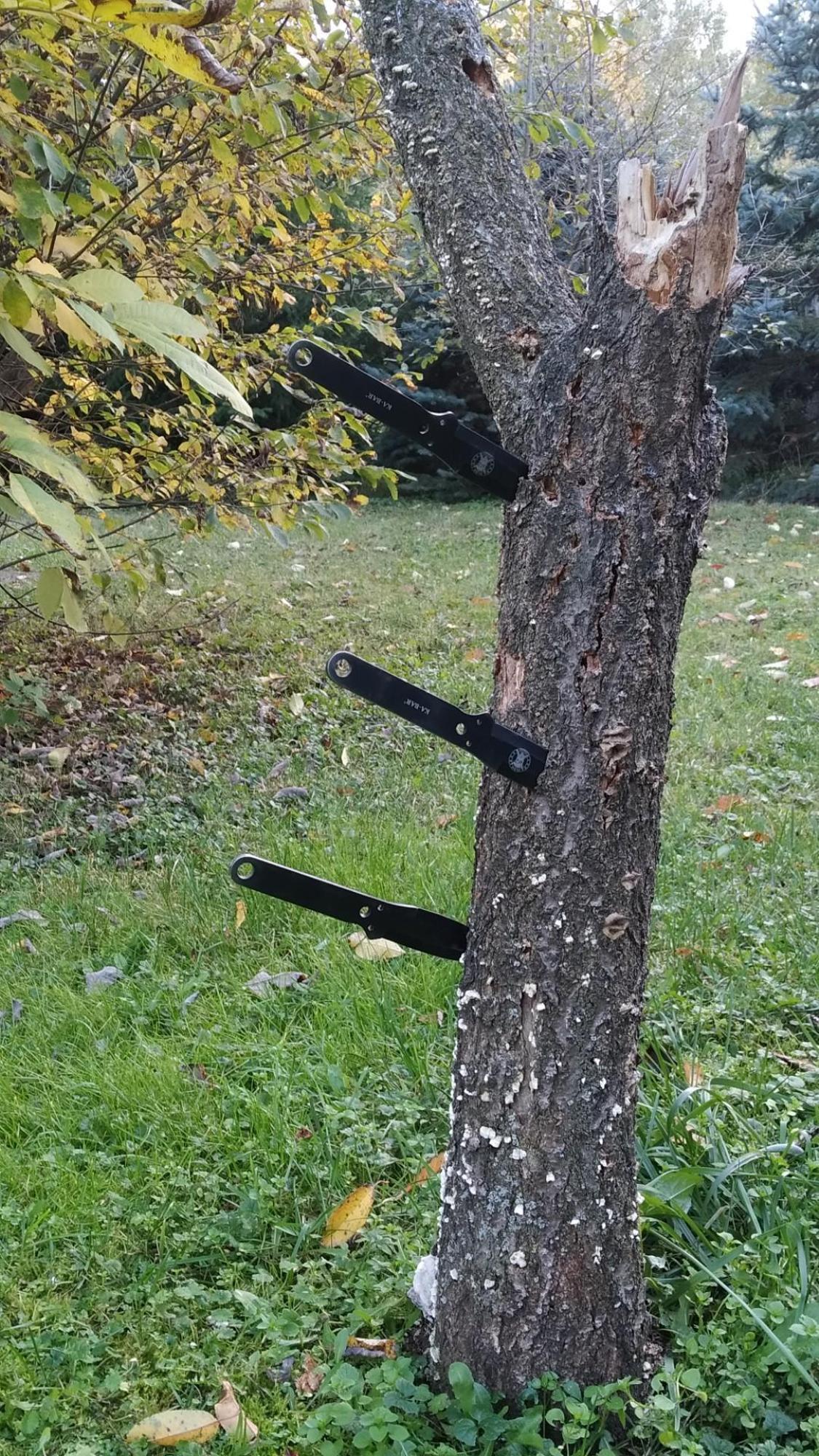 635beef6f429352f3e9b5d95.jpg?width=2000&