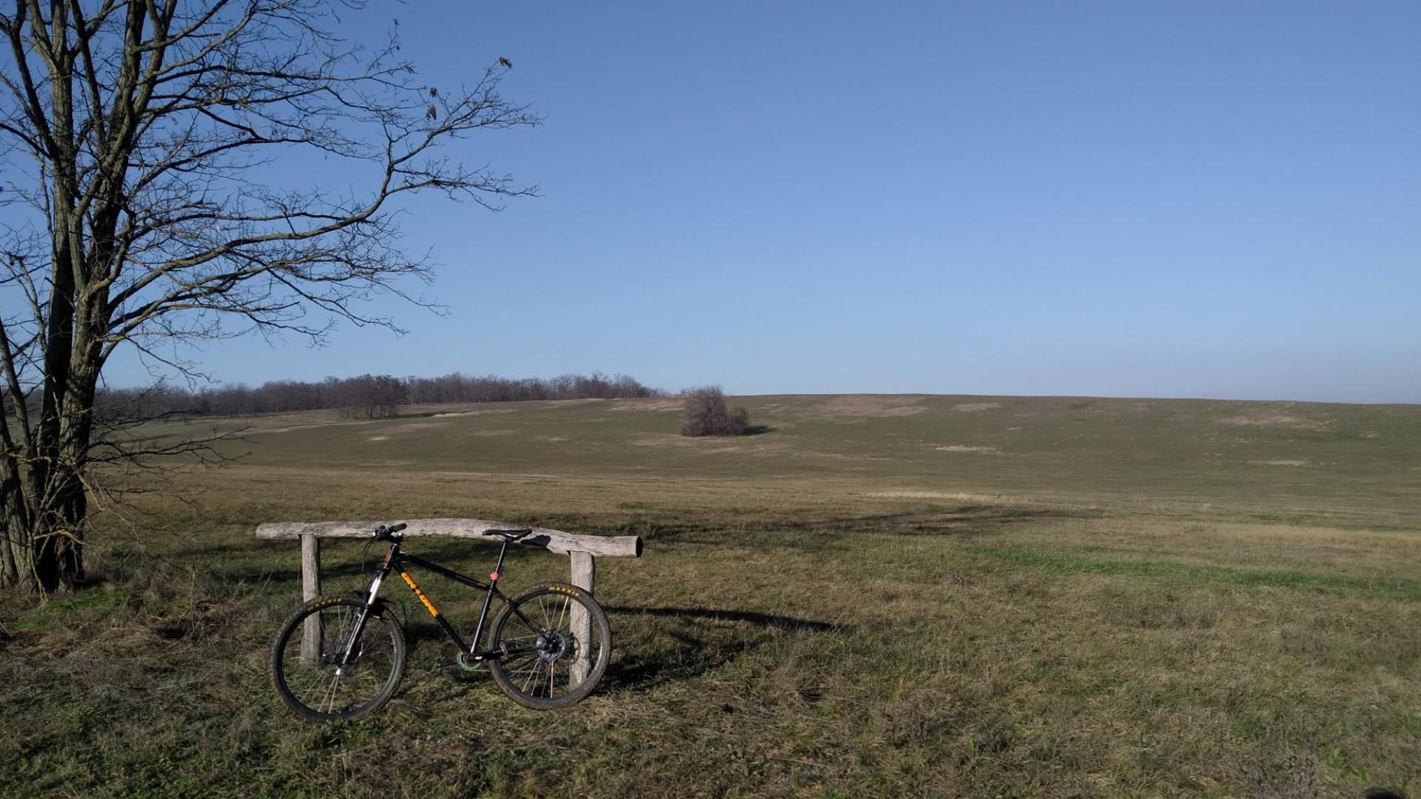 639f09b1be20605740a822d8.jpg?width=2000&