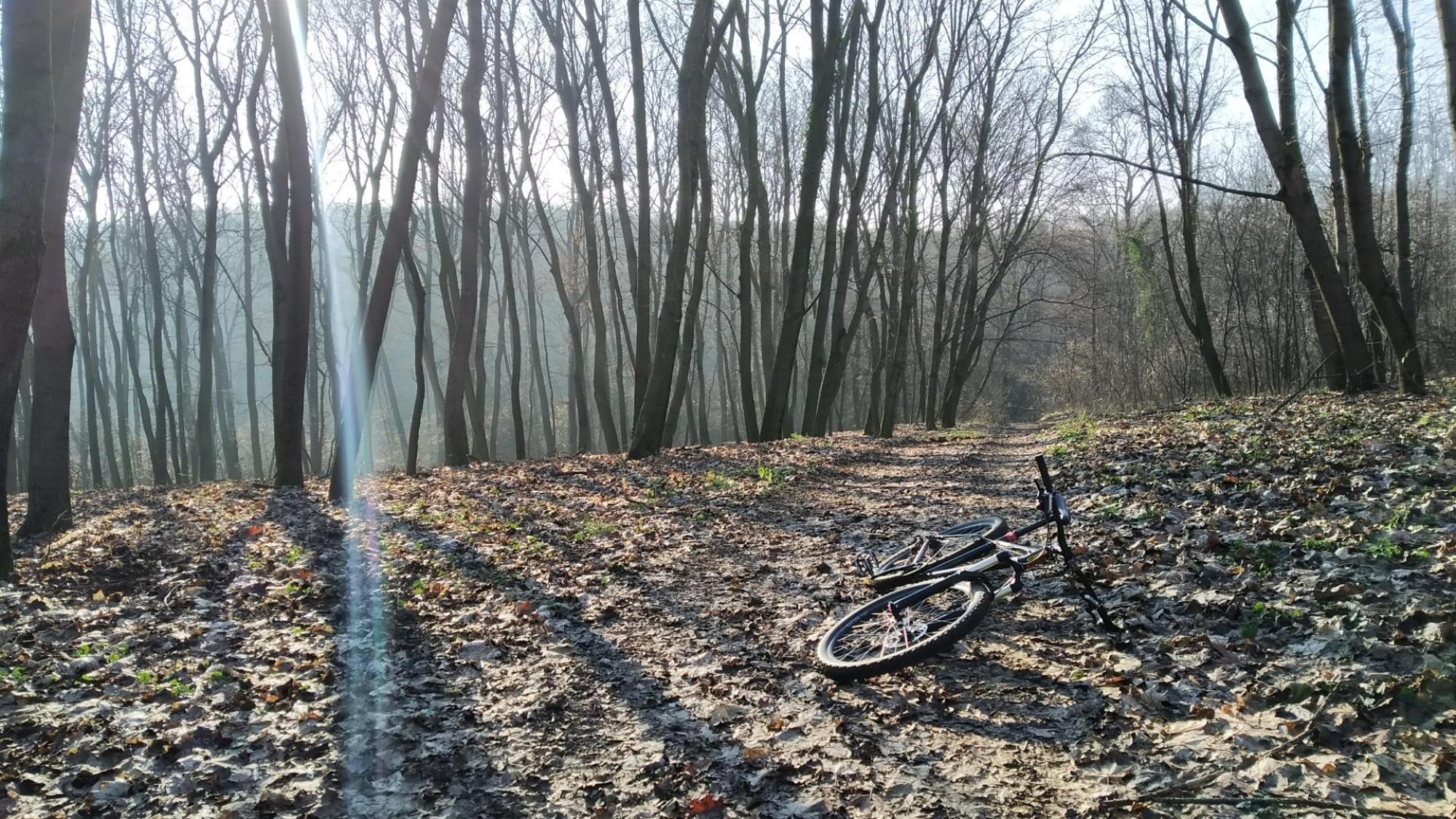 639f09b3be20605740a822db.jpg?width=2000&