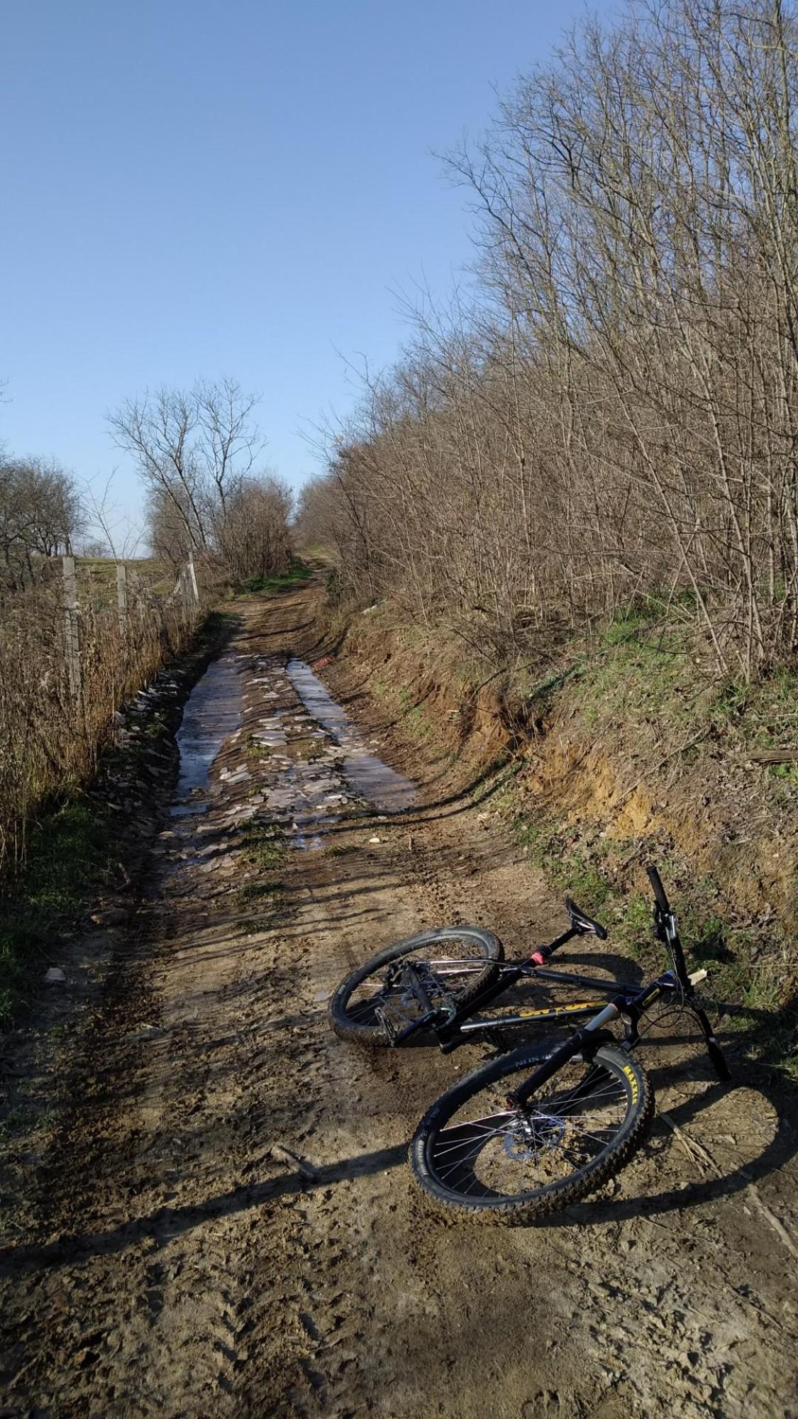 639f09b646abf27d73100218.jpg?width=2000&