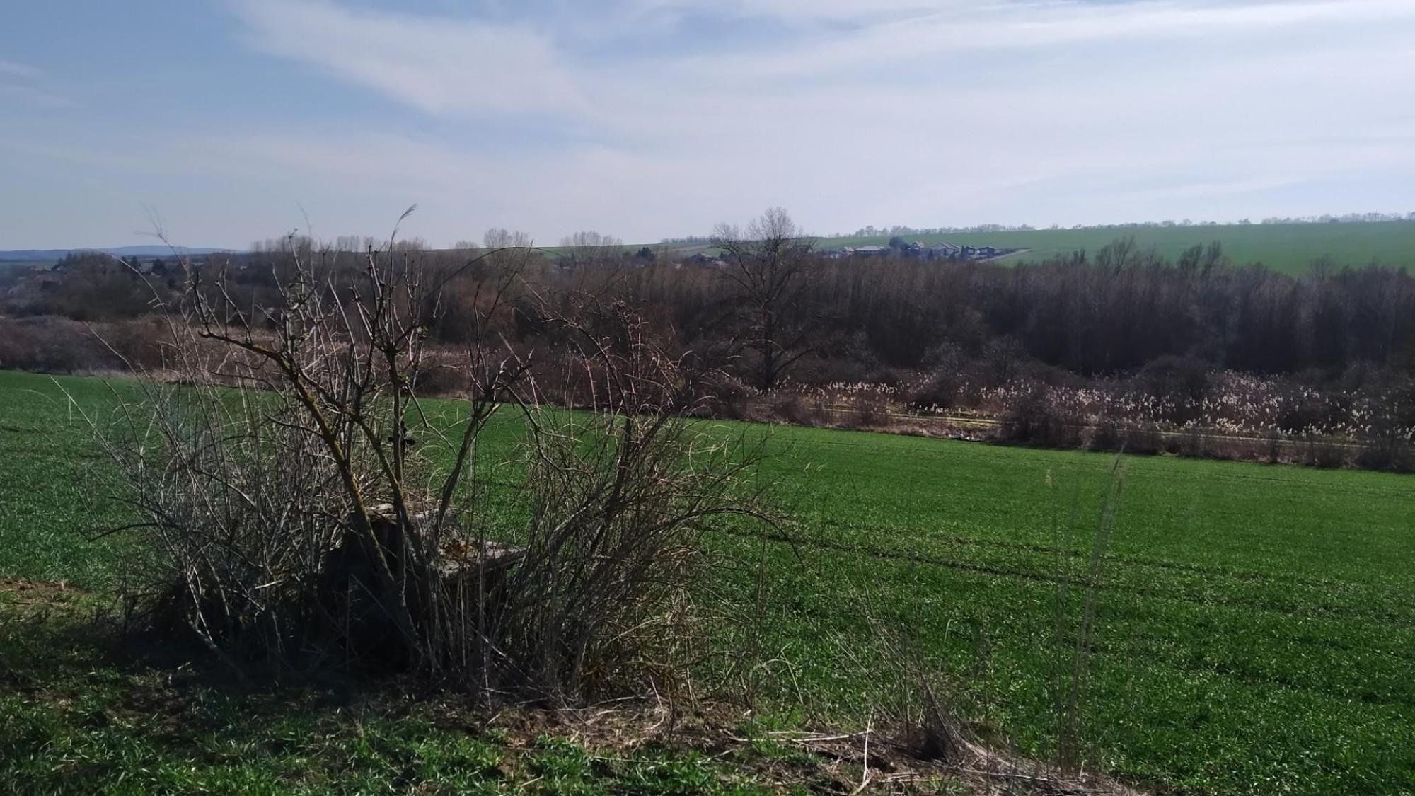 6415c82c07de1b455194c2b8.jpg?width=2000&