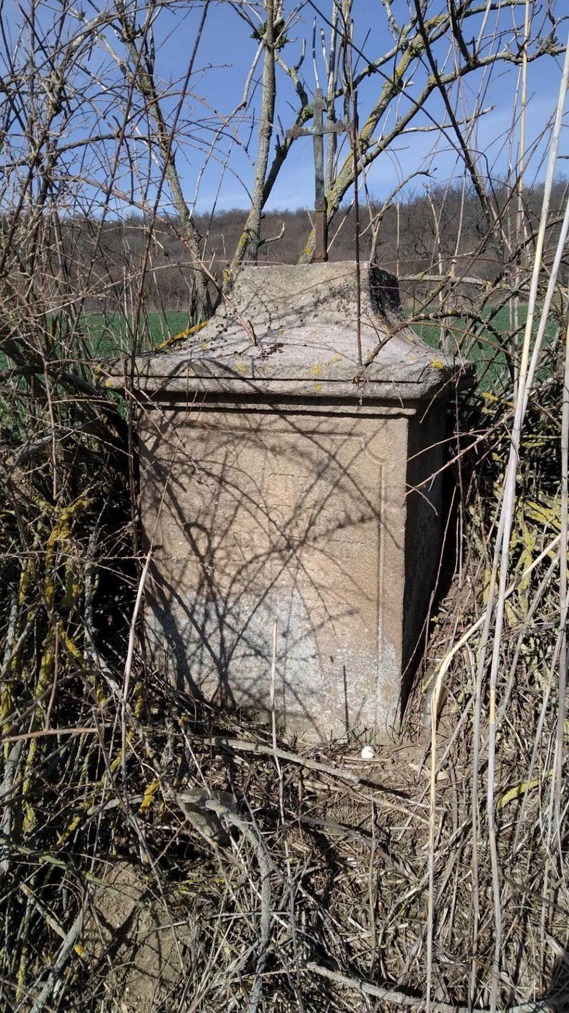 6415c82d2626b409094c5a23.jpg?width=2000&