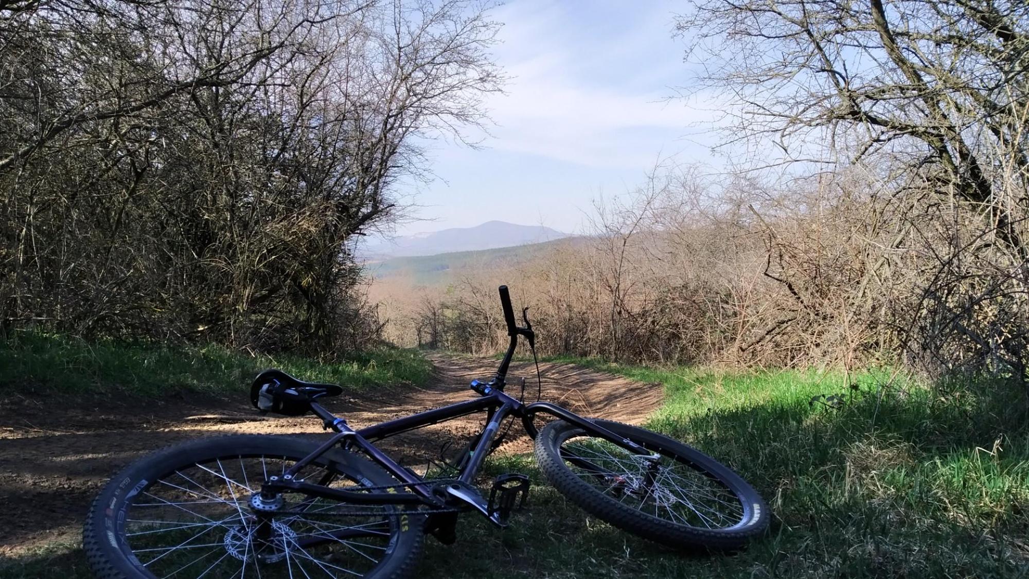 6415c83080afc63488a925d2.jpg?width=2000&