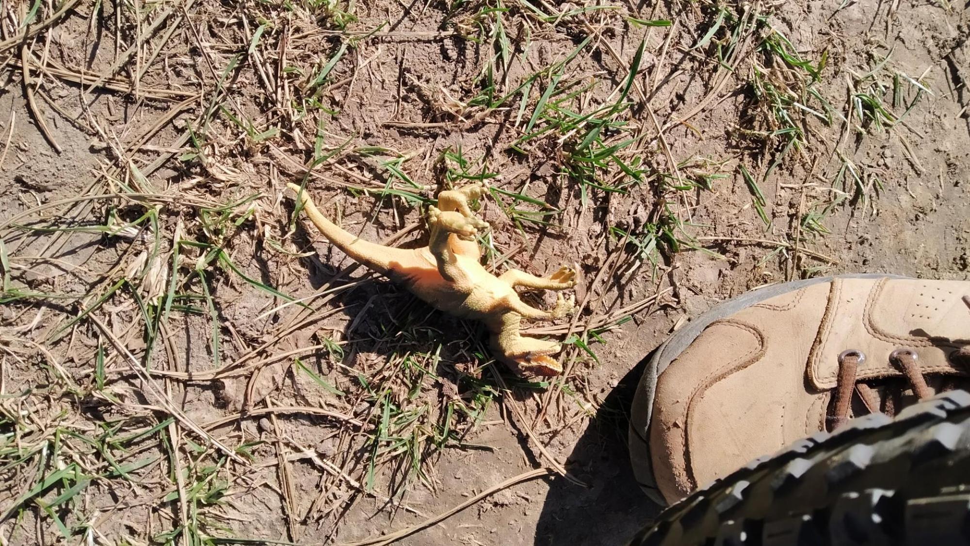 6415c834f98541272216a658.jpg?width=2000&