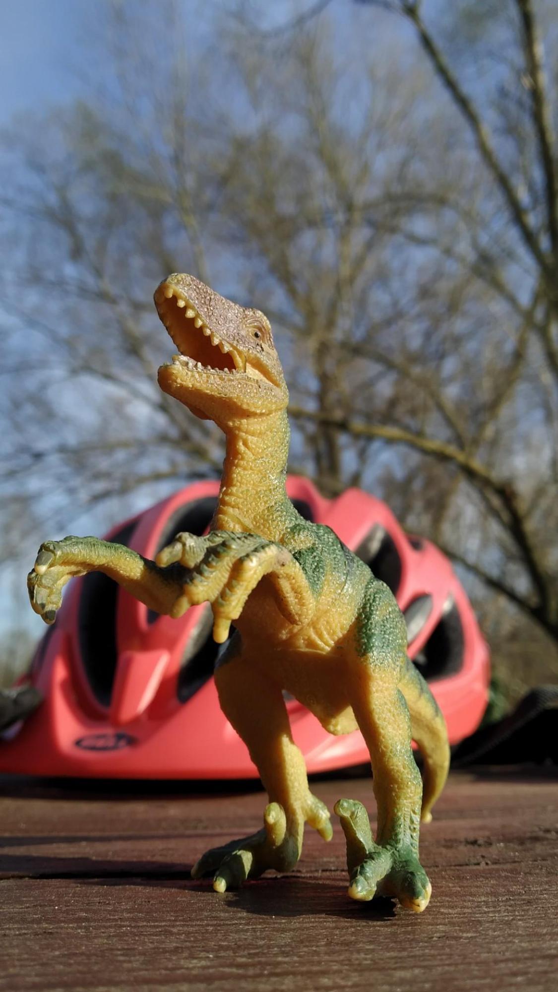 6415da93998f404587c89948.jpg?width=2000&