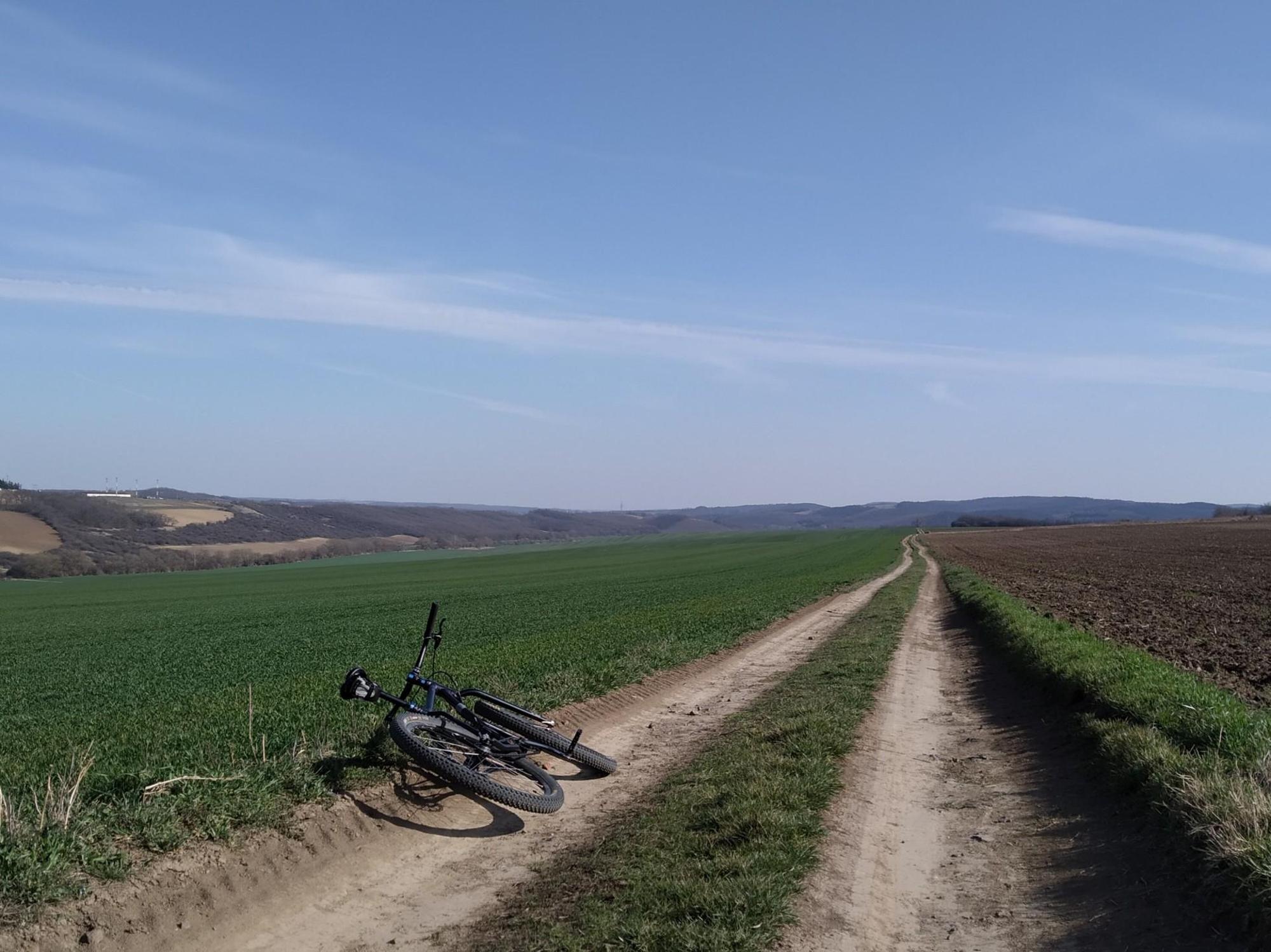 6415da9cd40e2f00e281929e.jpg?width=2000&