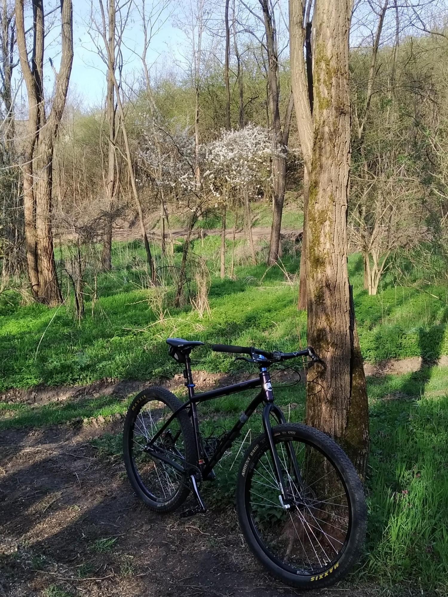 6436e41f0a9fa14b393734a5.jpg?width=2000&