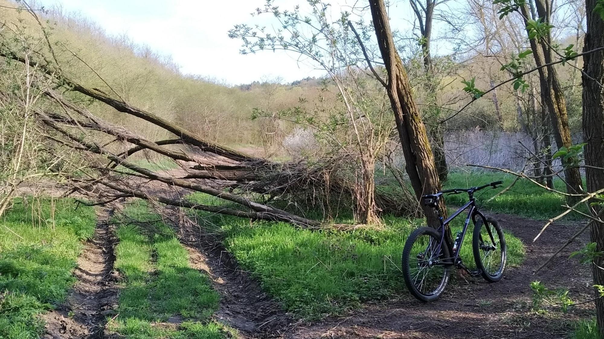 6436e4232d4d282fe554e368.jpg?width=2000&