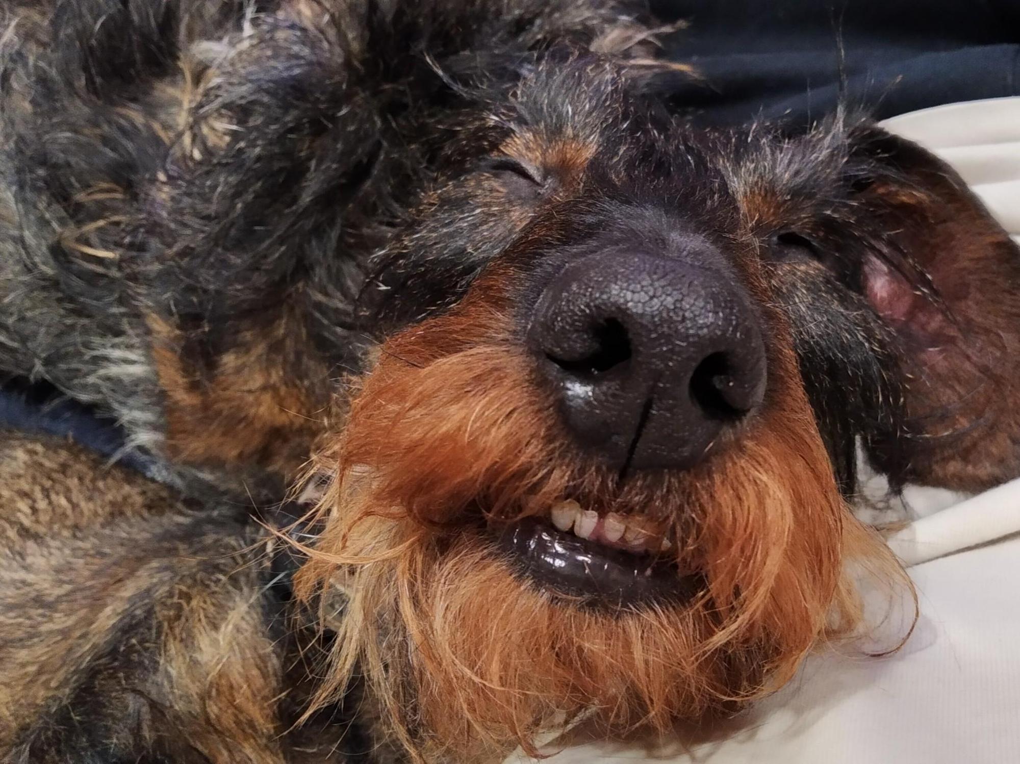 6436e44c0a9fa14b39373759.jpg?width=2000&