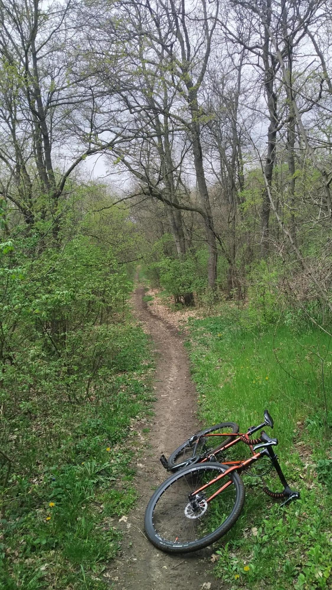 643c28aef8e11343ad856f97.jpg?width=2000&