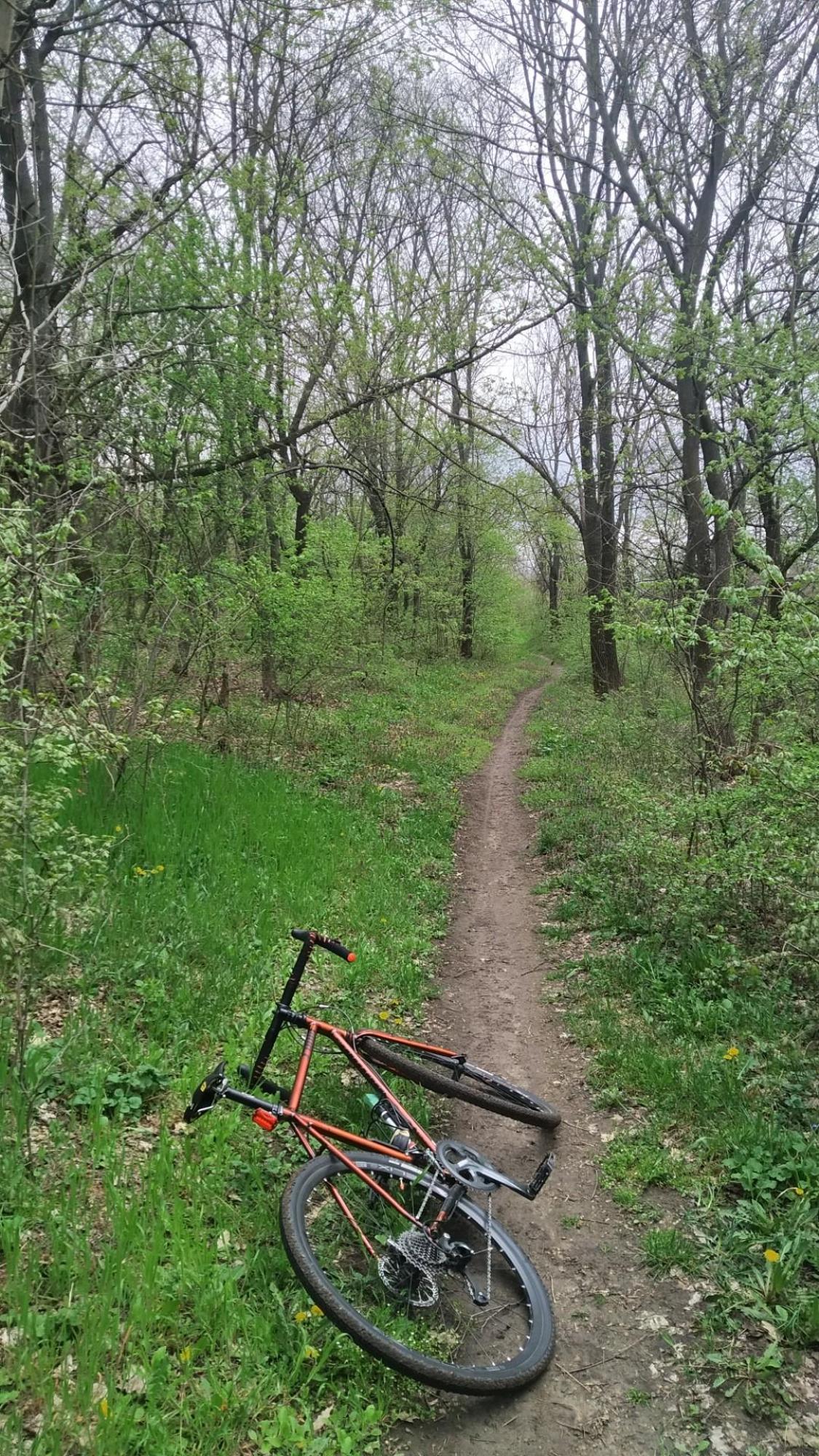 643c28b60adbdb6bebb37fc2.jpg?width=2000&