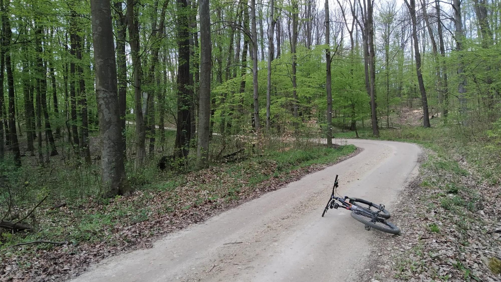 64457cb0155c43522cc1b6e9.jpg?width=2000&