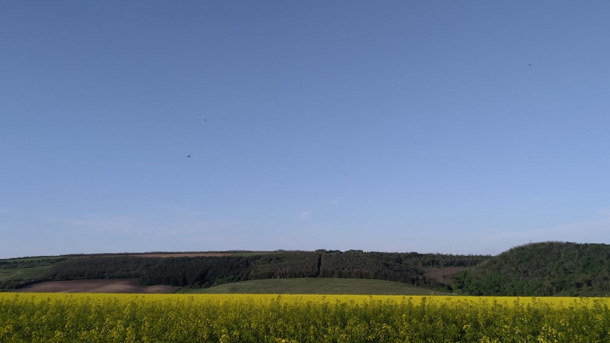 64553d5d6287f9439a09af37.jpg?width=2000&