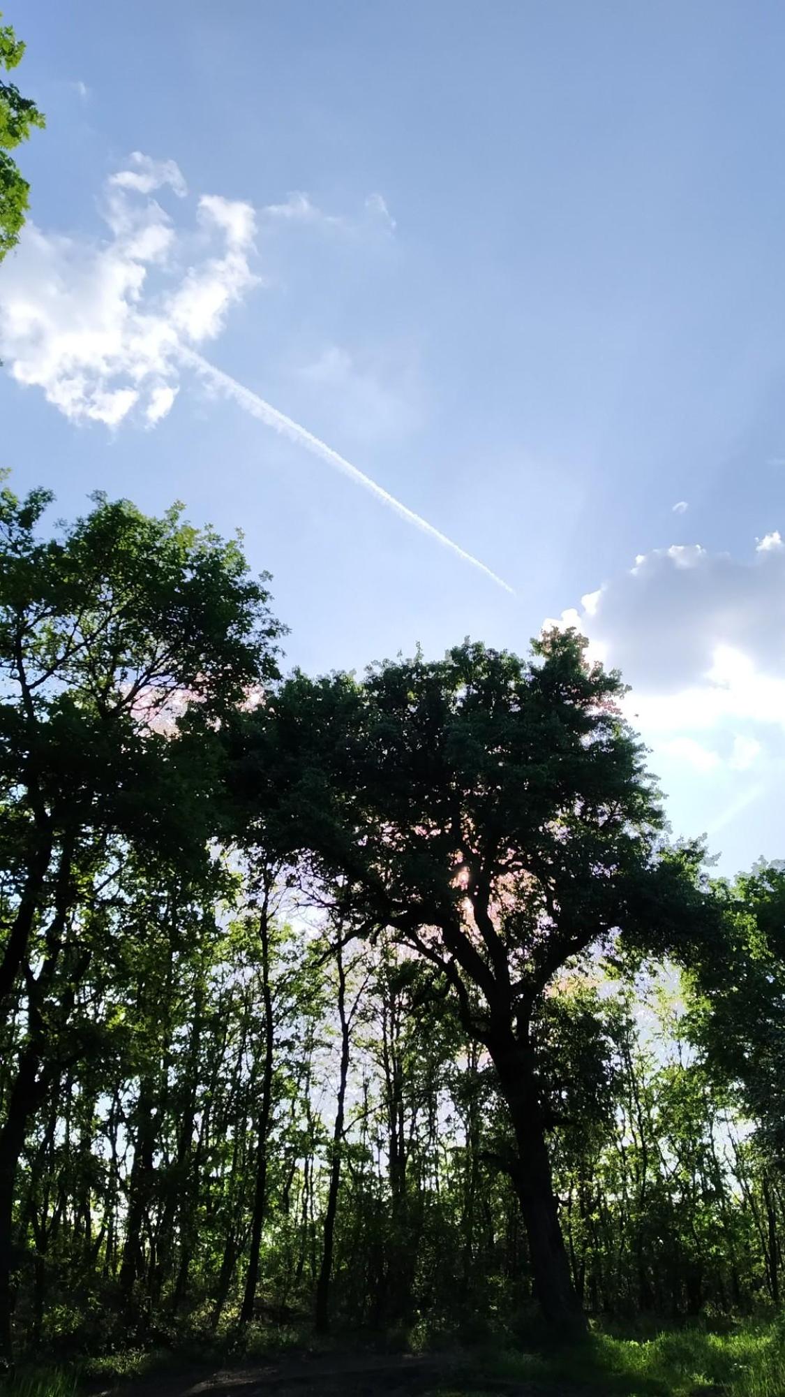 64553d6537293676e0513418.jpg?width=2000&