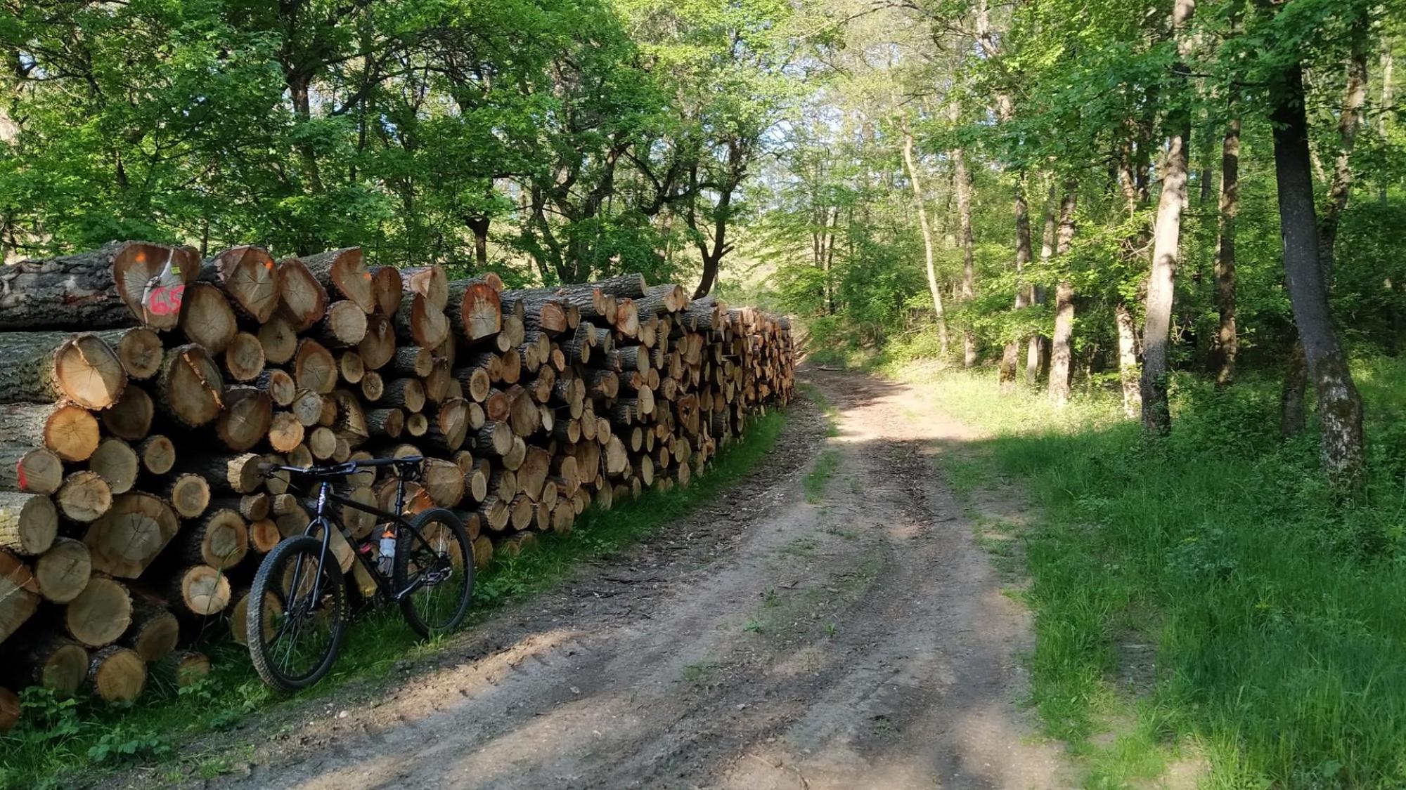 64553d696287f9439a09af5b.jpg?width=2000&