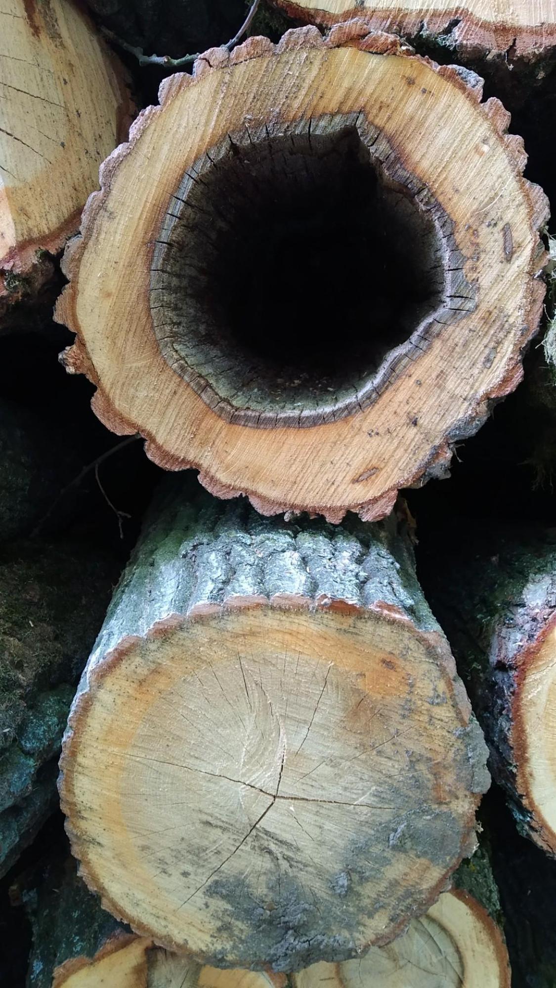 64553d7556343a37dcbf7c51.jpg?width=2000&