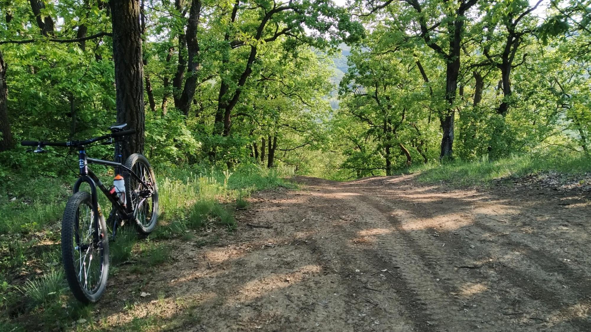 64553d7c6f15045bb0aee0d3.jpg?width=2000&