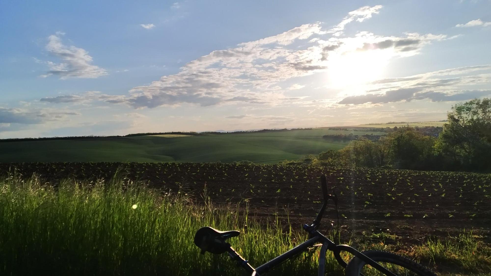 645a867e6b07014fb1f52f9f.jpg?width=2000&