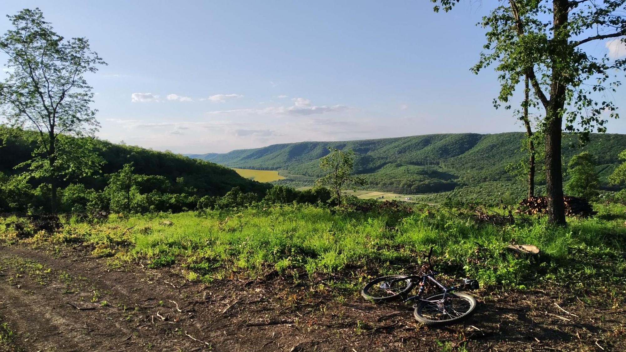 645a868112878d08579dc62c.jpg?width=2000&