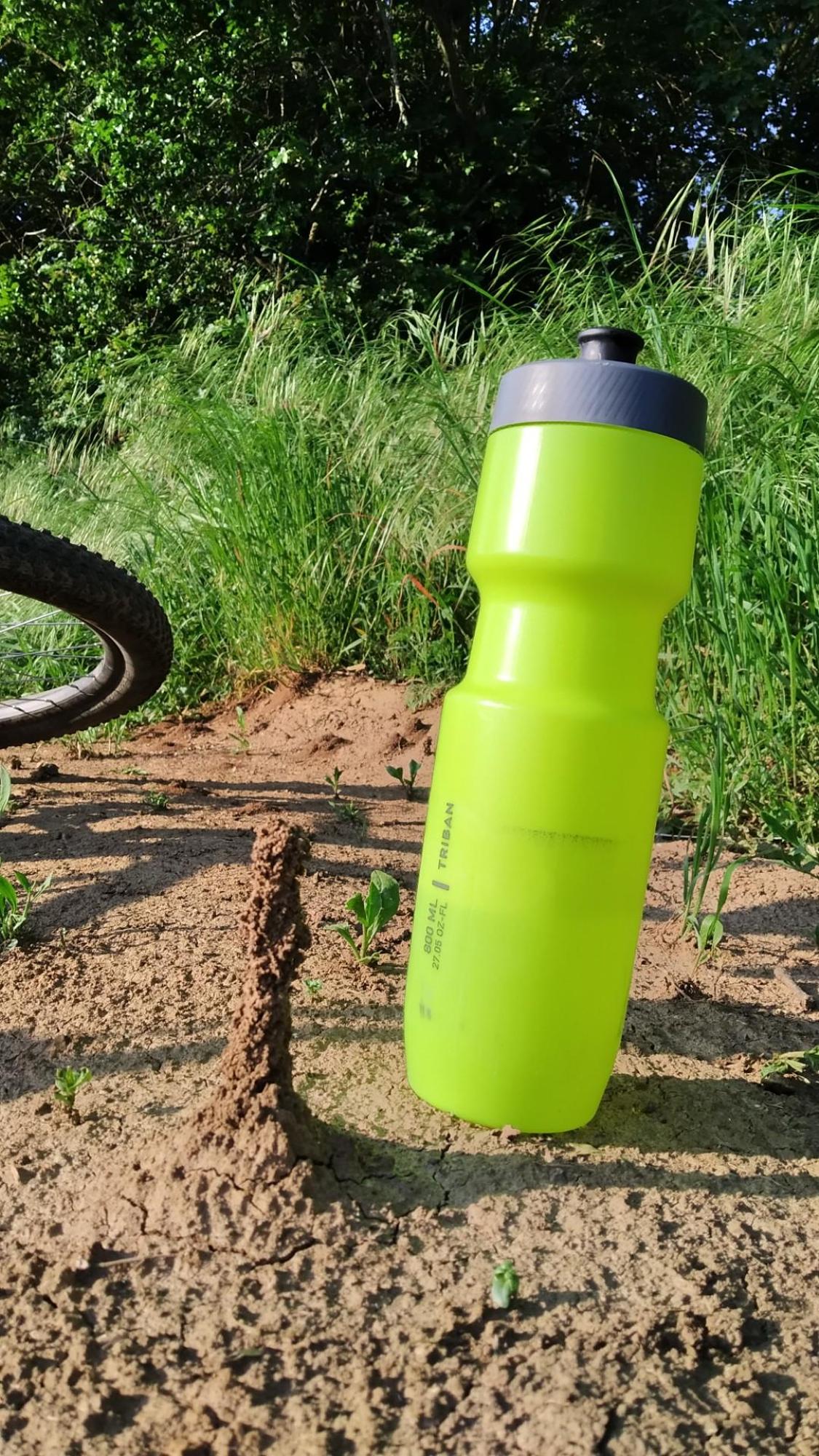 6468fa1085245e0630f5162e.jpg?width=2000&