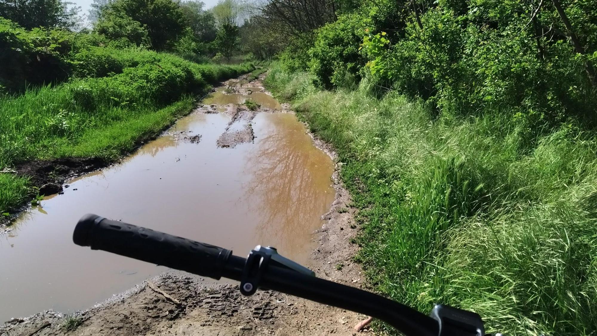 6468fa1101b53315d5e7205a.jpg?width=2000&