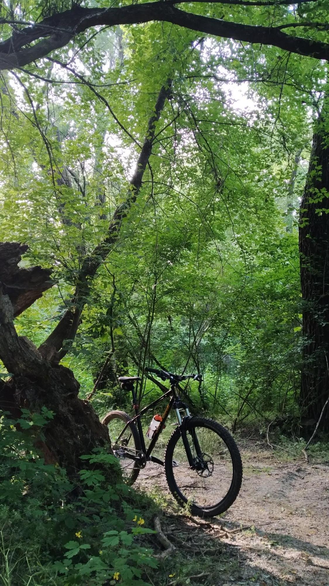 6474ecc9b9f11c63353dccb5.jpg?width=2000&