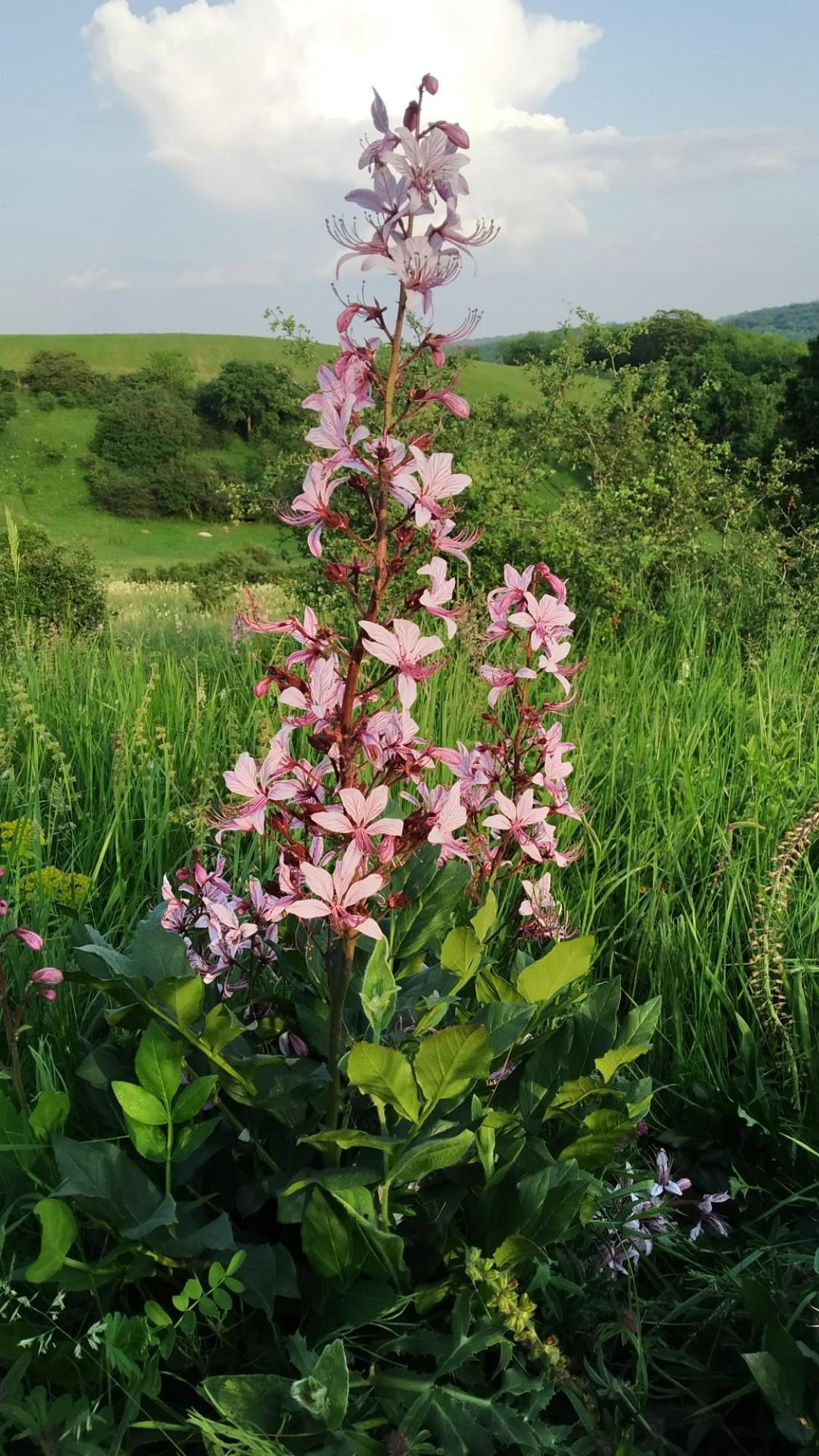 6474eccd60042d45064cbe6e.jpg?width=2000&