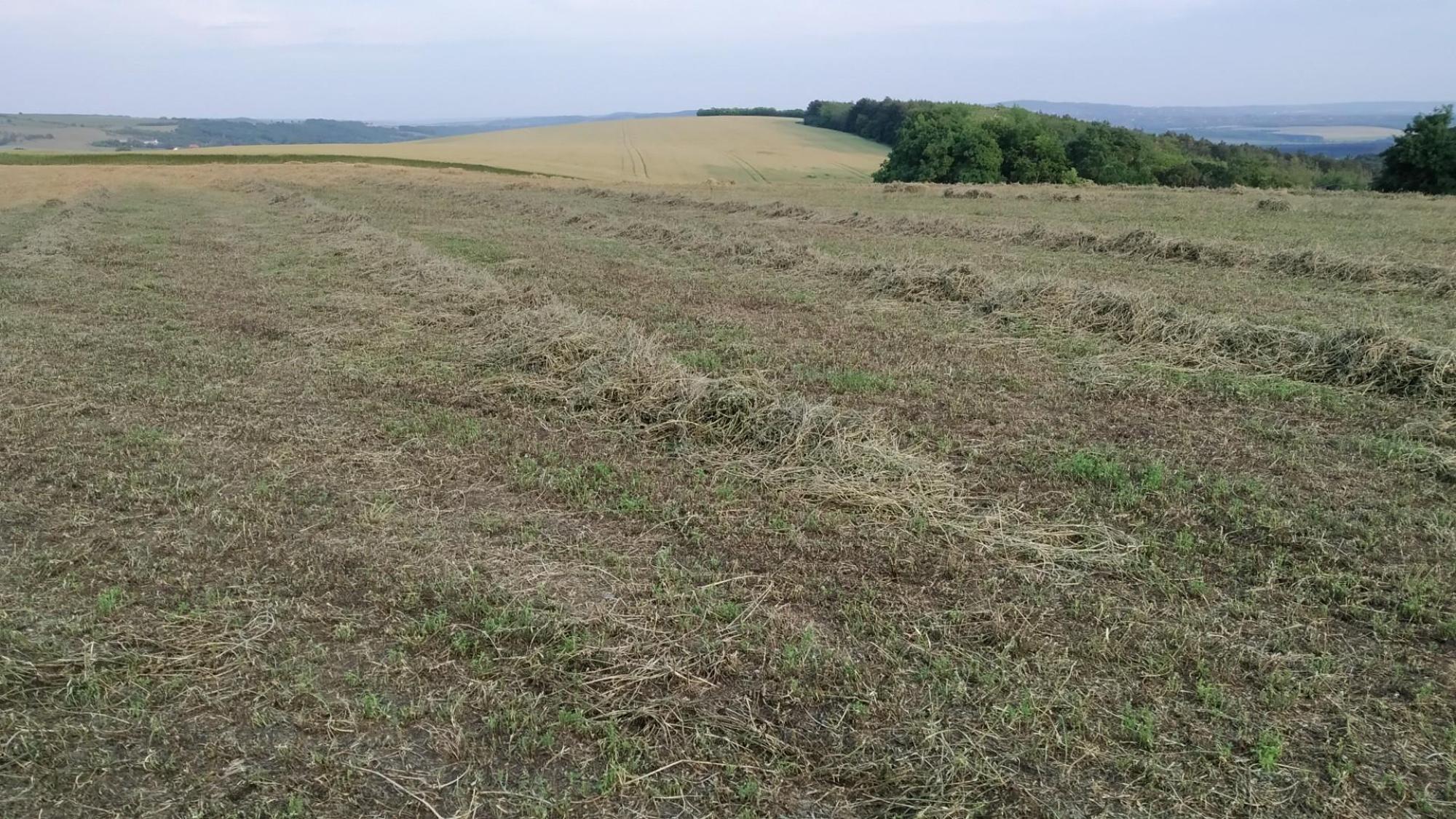 6474ecce01aff84c5595fa73.jpg?width=2000&