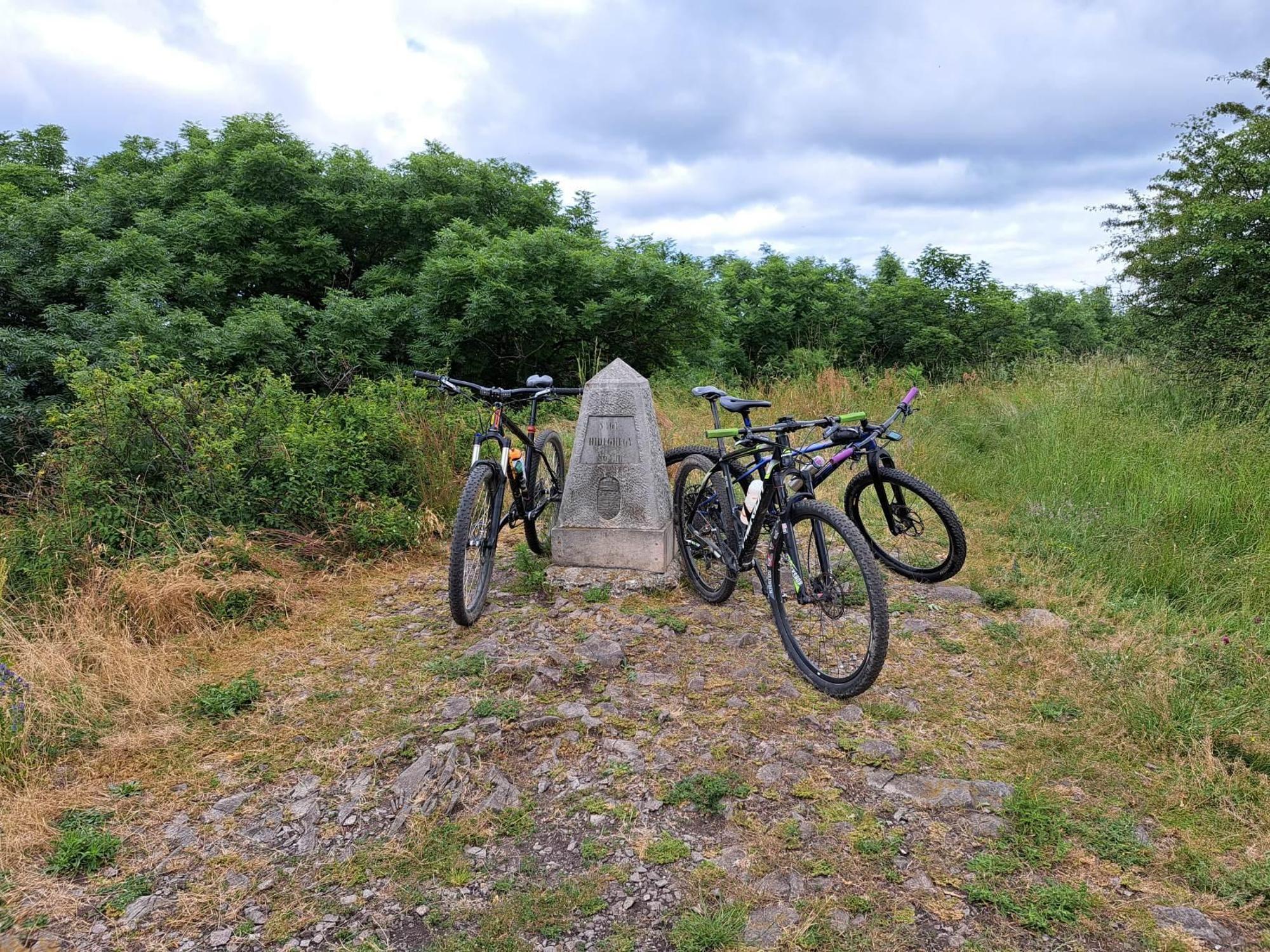 649897f21be4d65e7057b83b.jpg?width=2000&