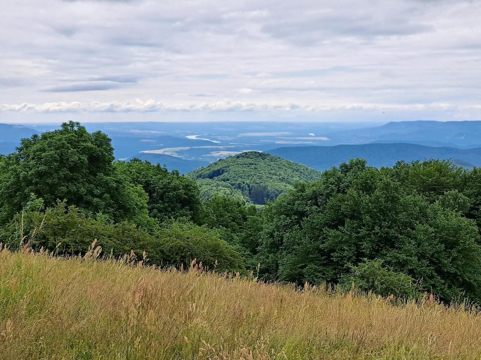 64989809e7c97025919bbaeb.jpg?width=2000&