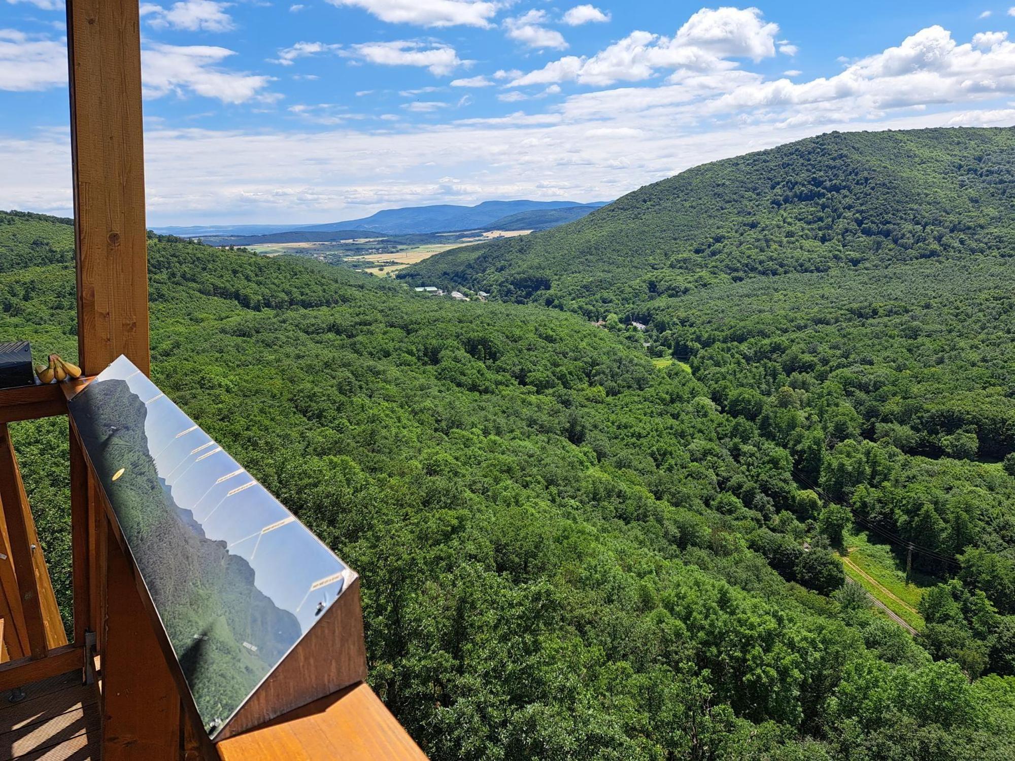 6498983f925d7271c748492a.jpg?width=2000&