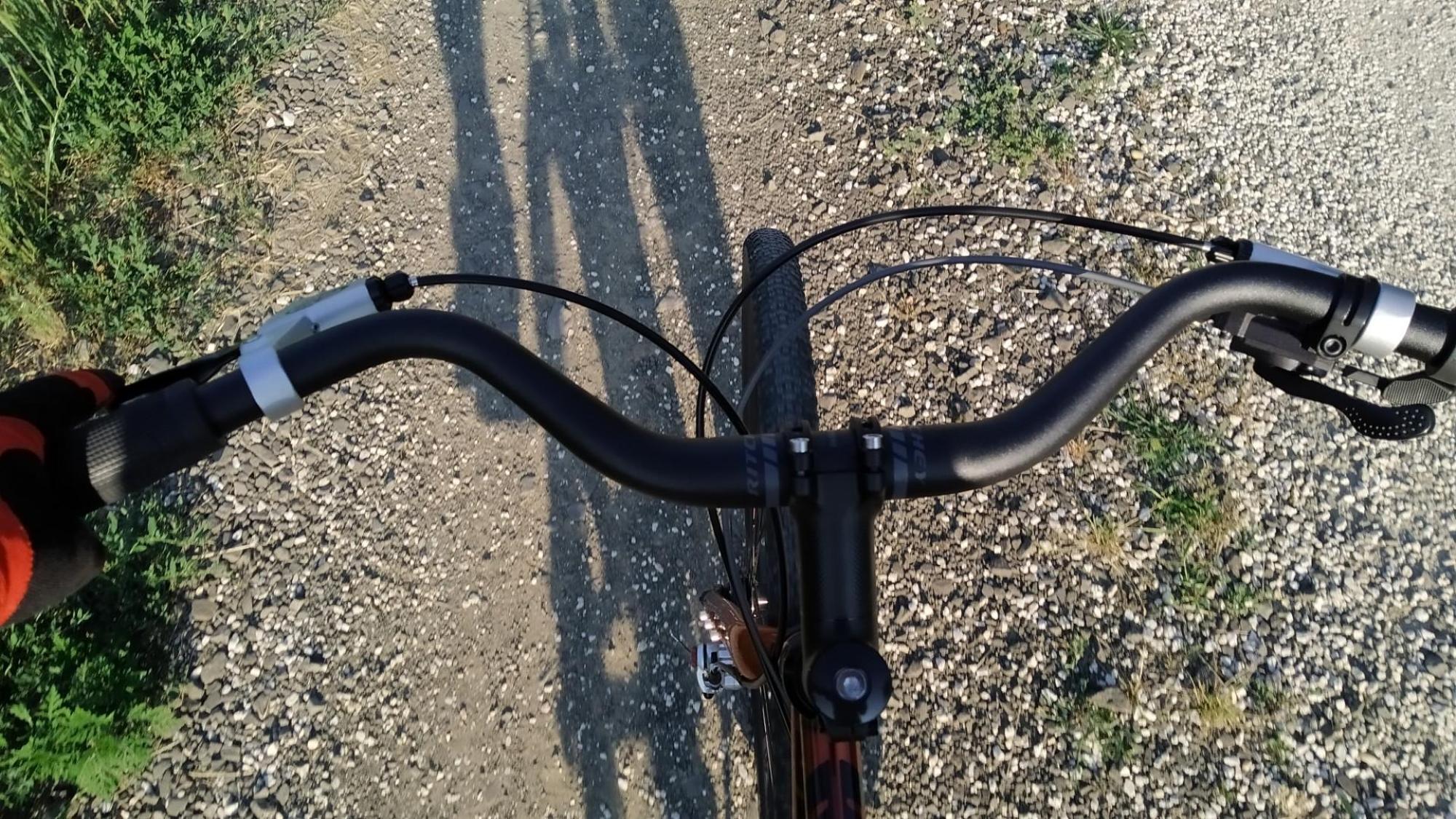 6499e8094dd97d56859894db.jpg?width=2000&