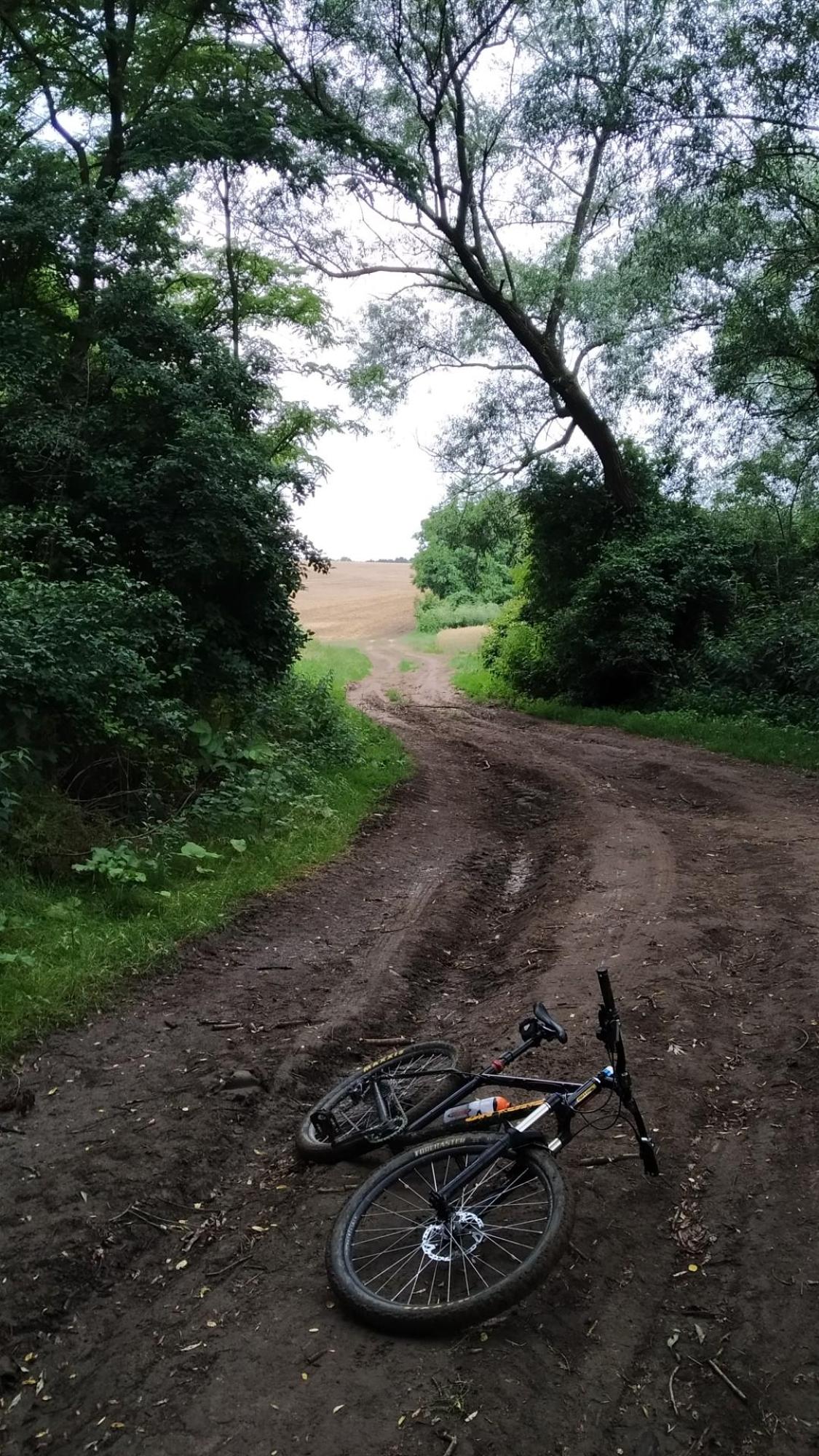 649b1d9dc2a95c0b4bad3fea.jpg?width=2000&