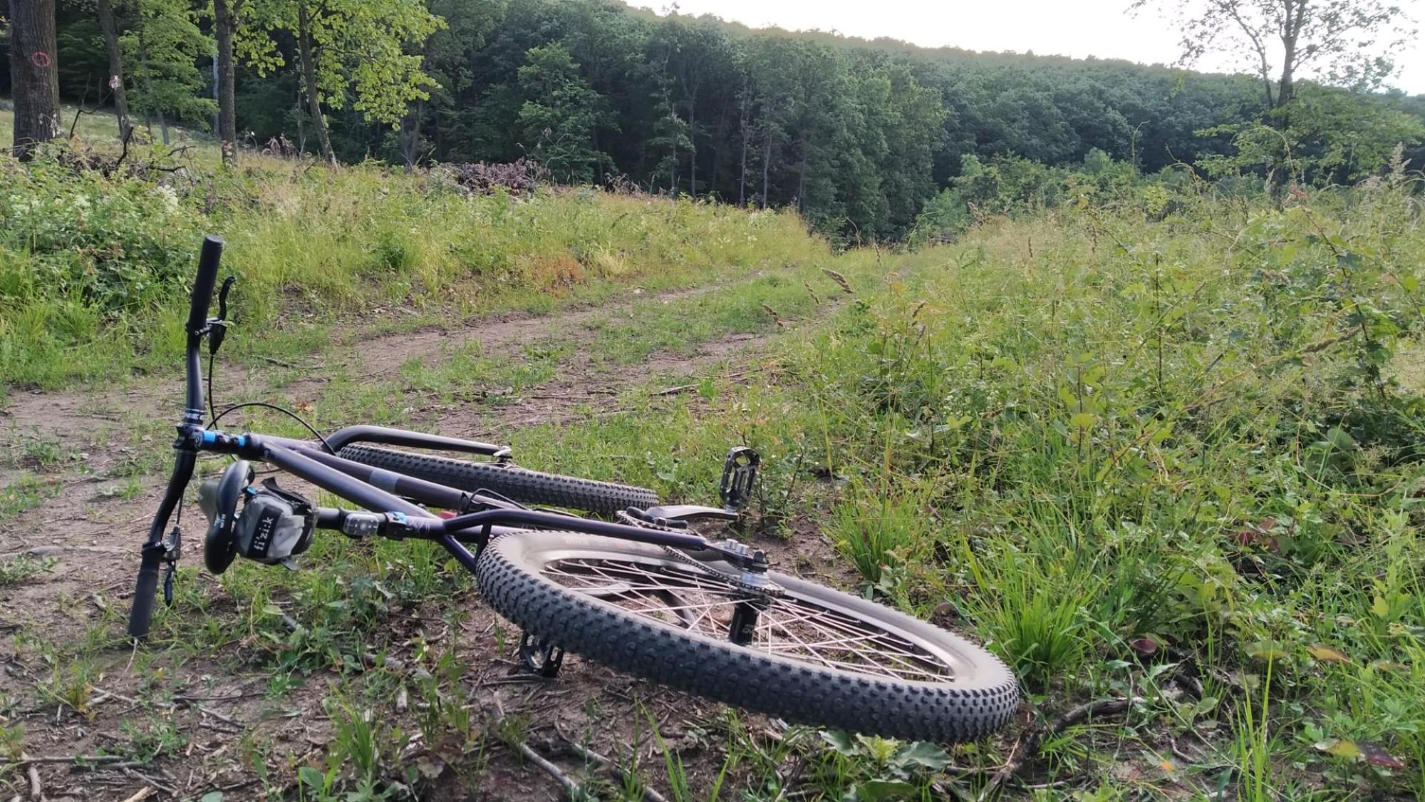 649f154dcf69c748a40dd6b6.jpg?width=2000&