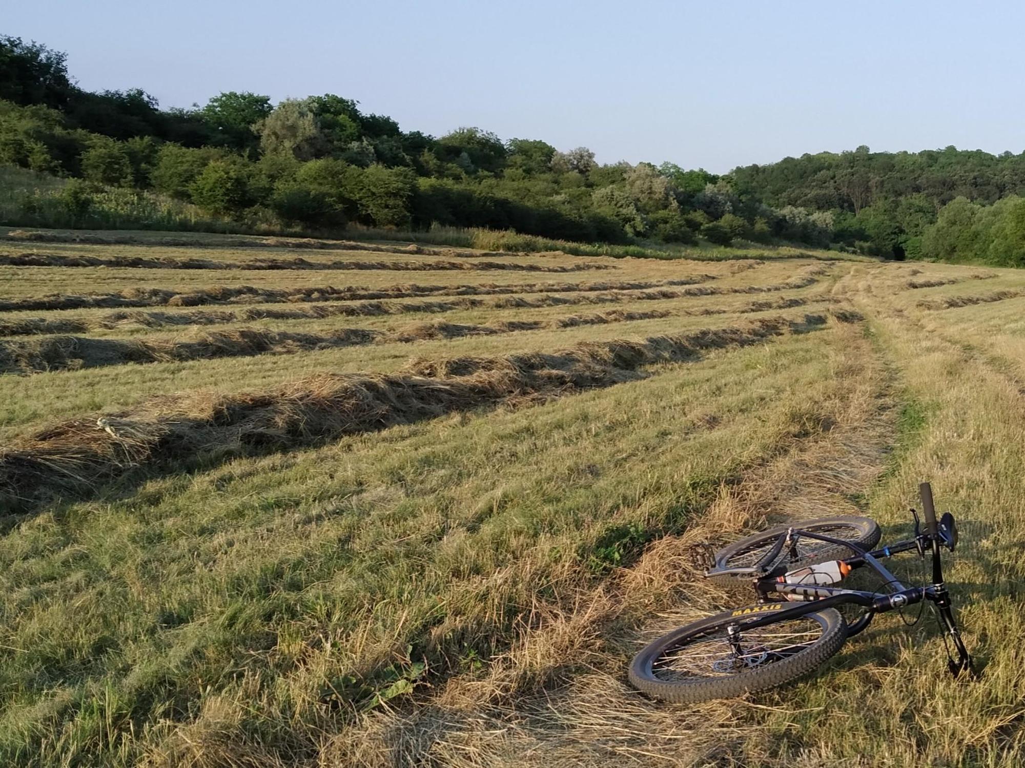 649f229c4af46f1758314076.jpg?width=2000&