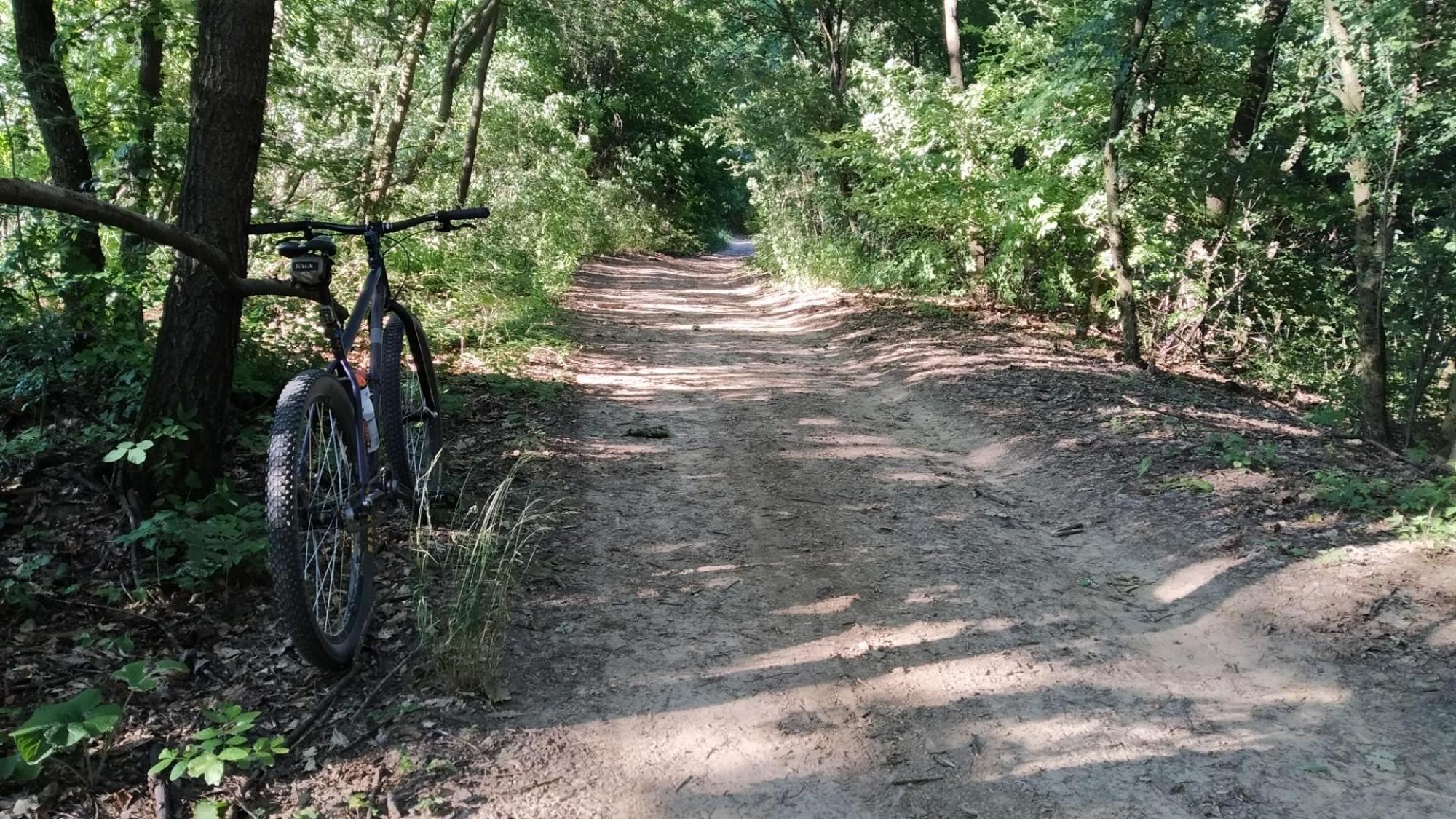 64a1b3aaff85a3104e6cdd30.jpg?width=2000&